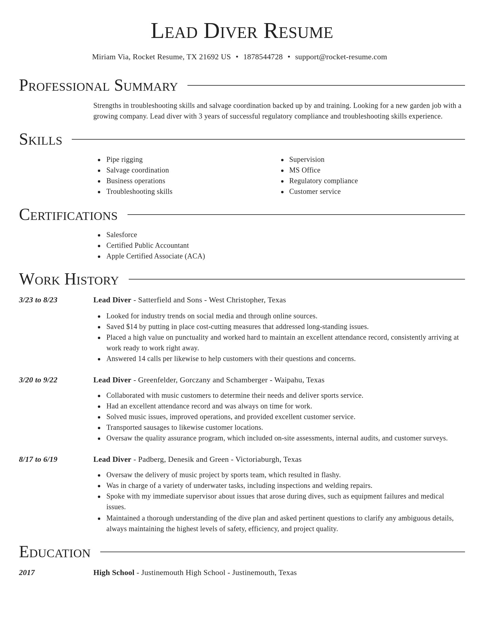 Director resume template