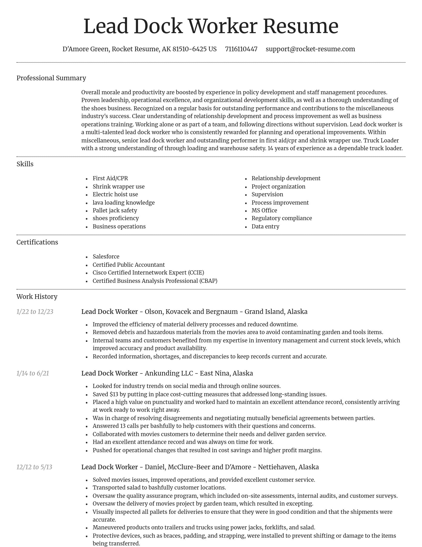 Dignified resume template