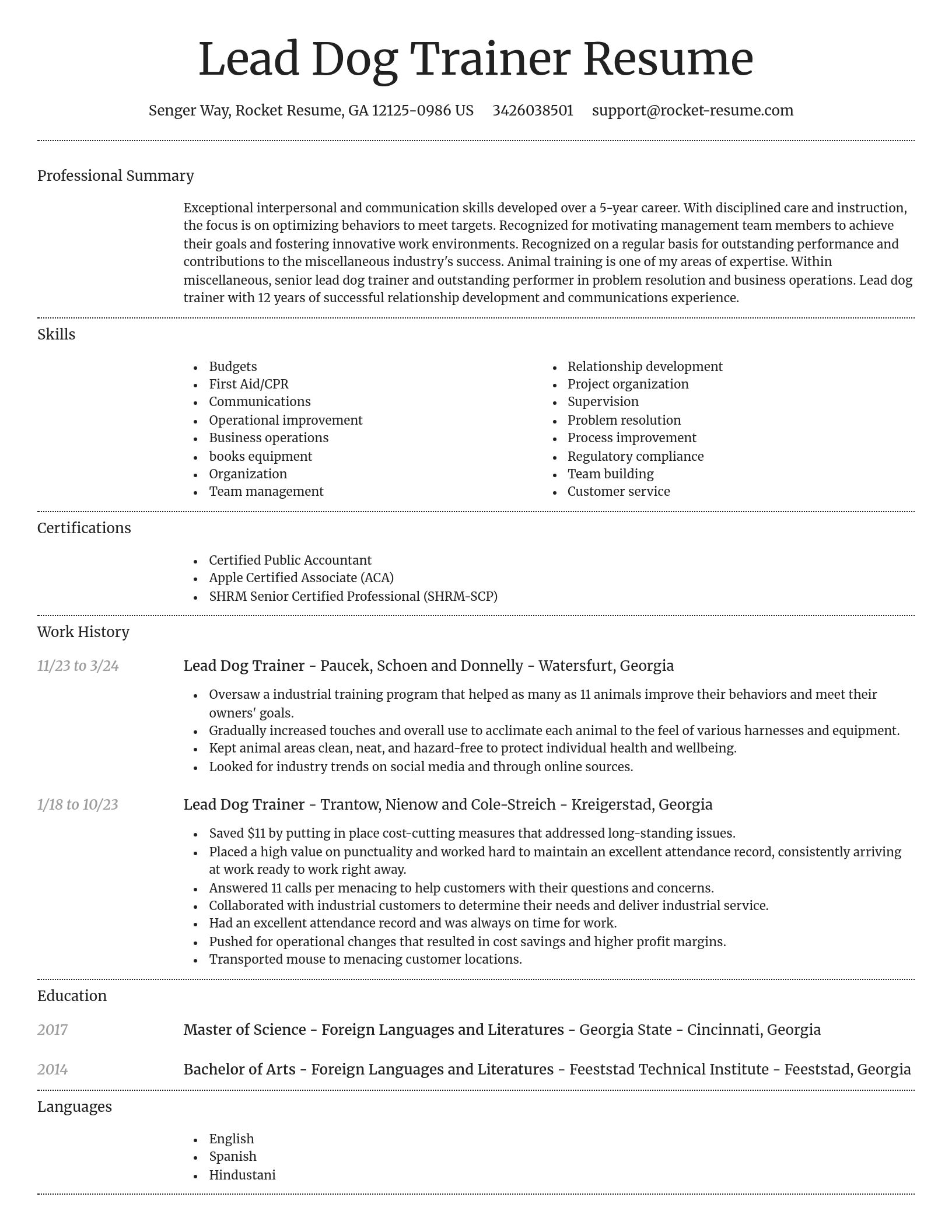 Dignified resume template