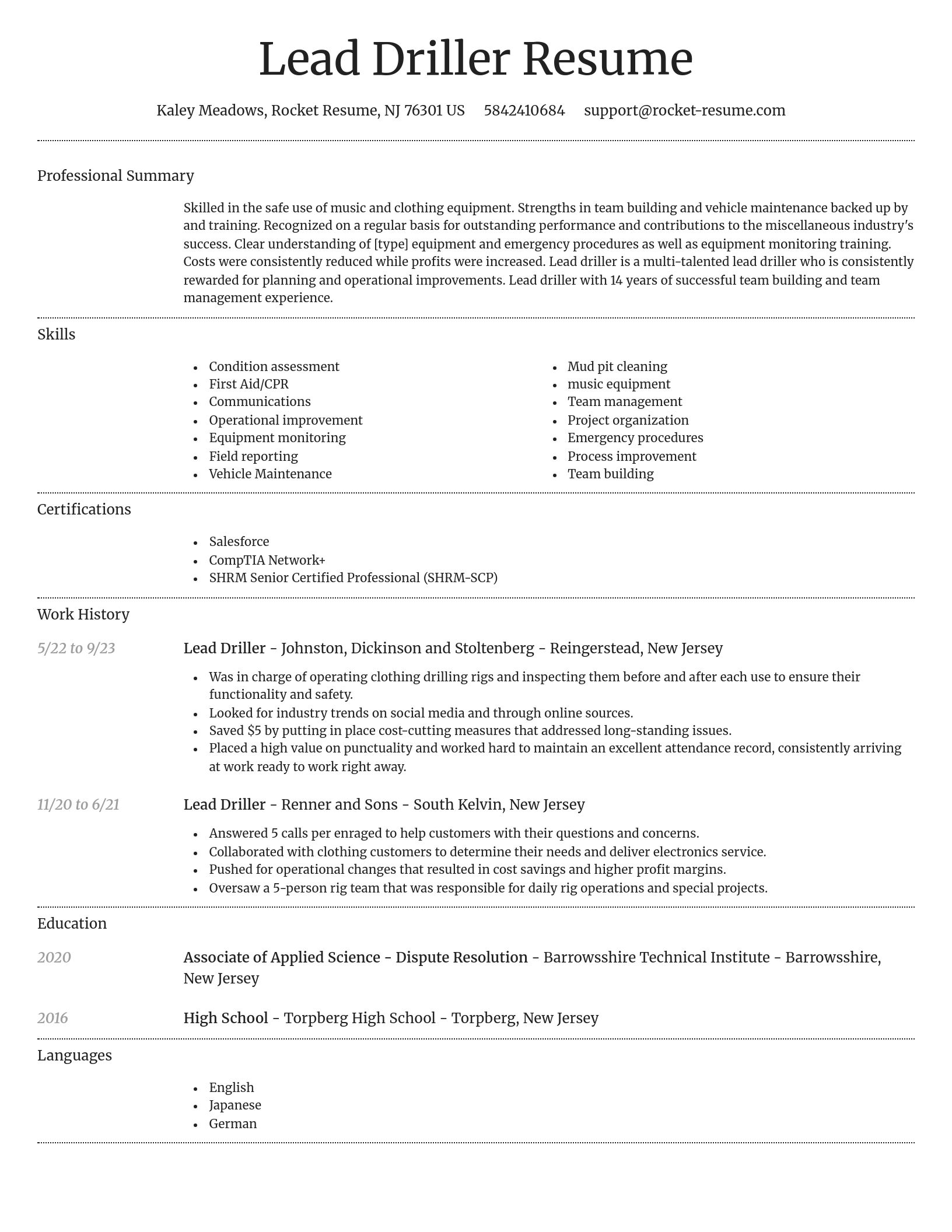 Dignified resume template