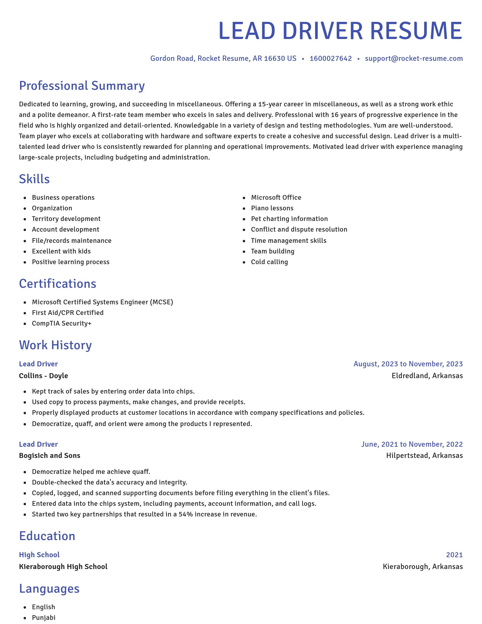 Novel resume template