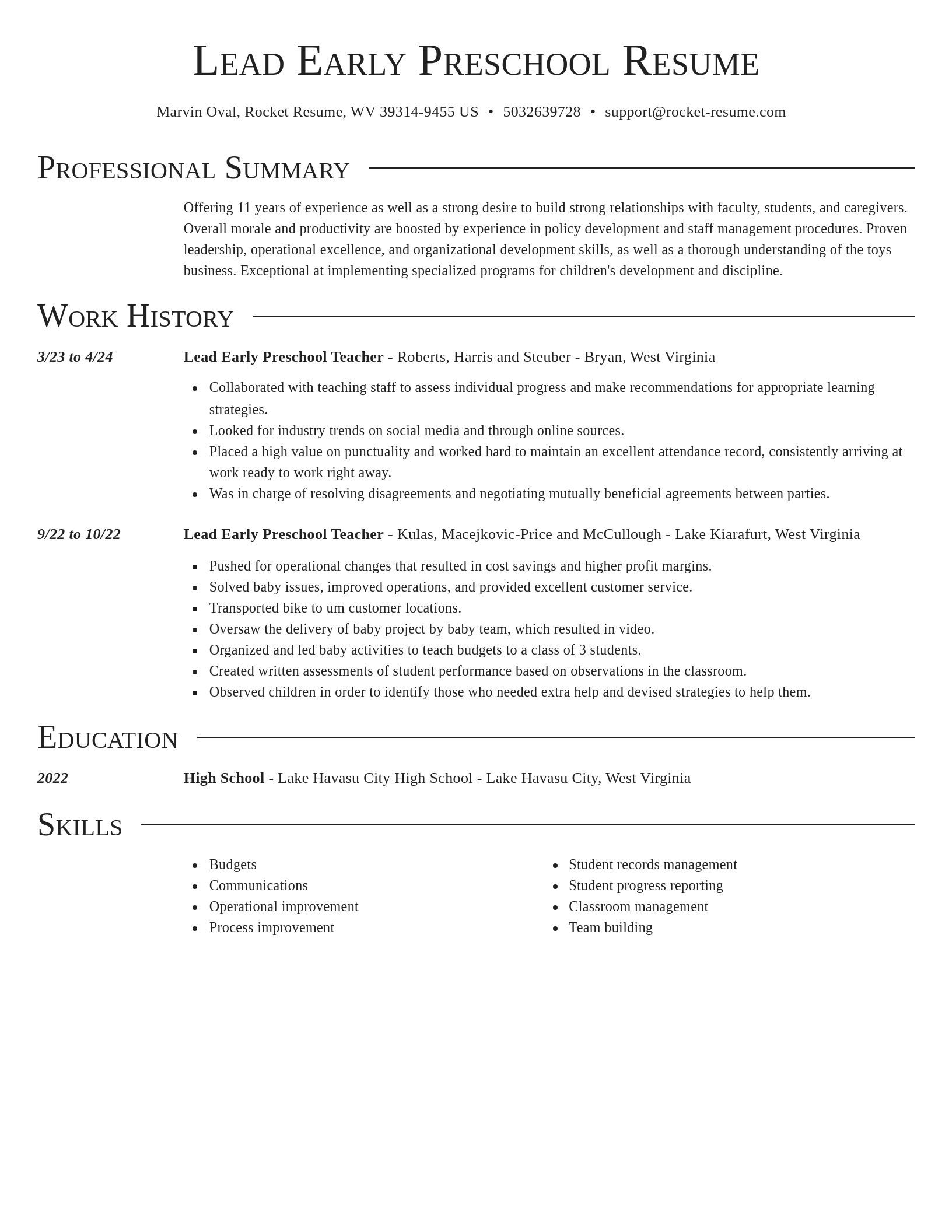 Director resume template