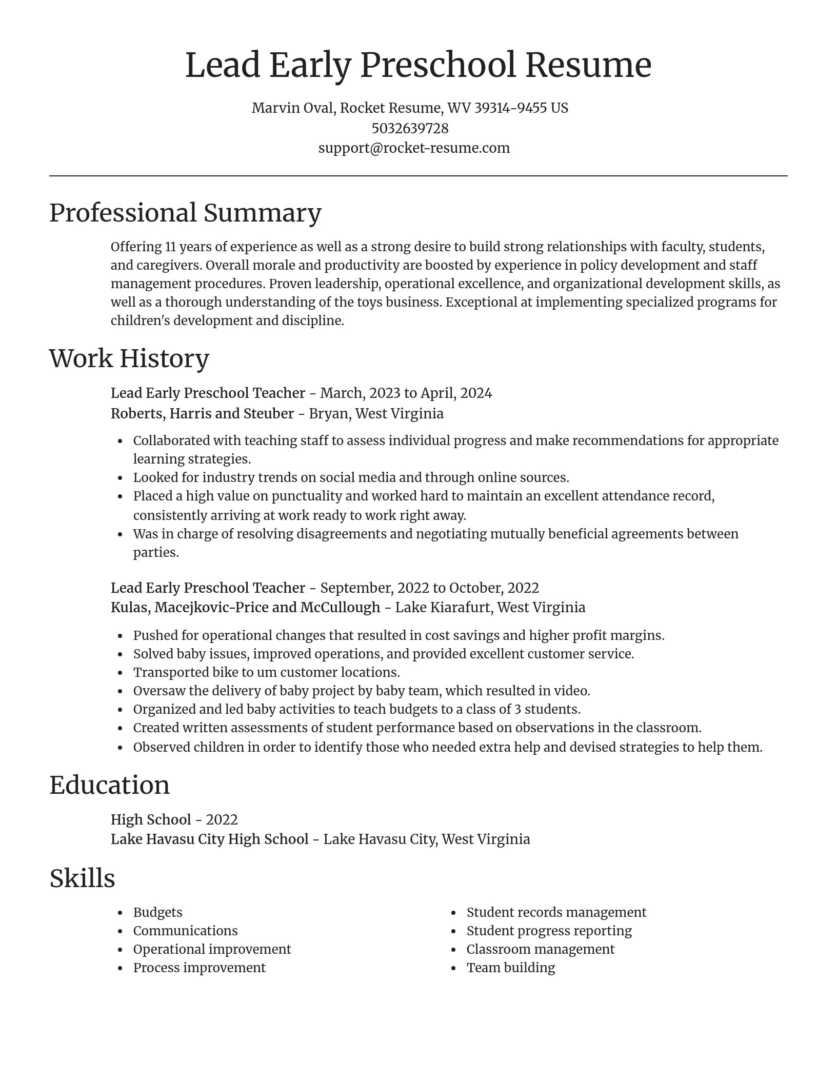 Focal Point resume template