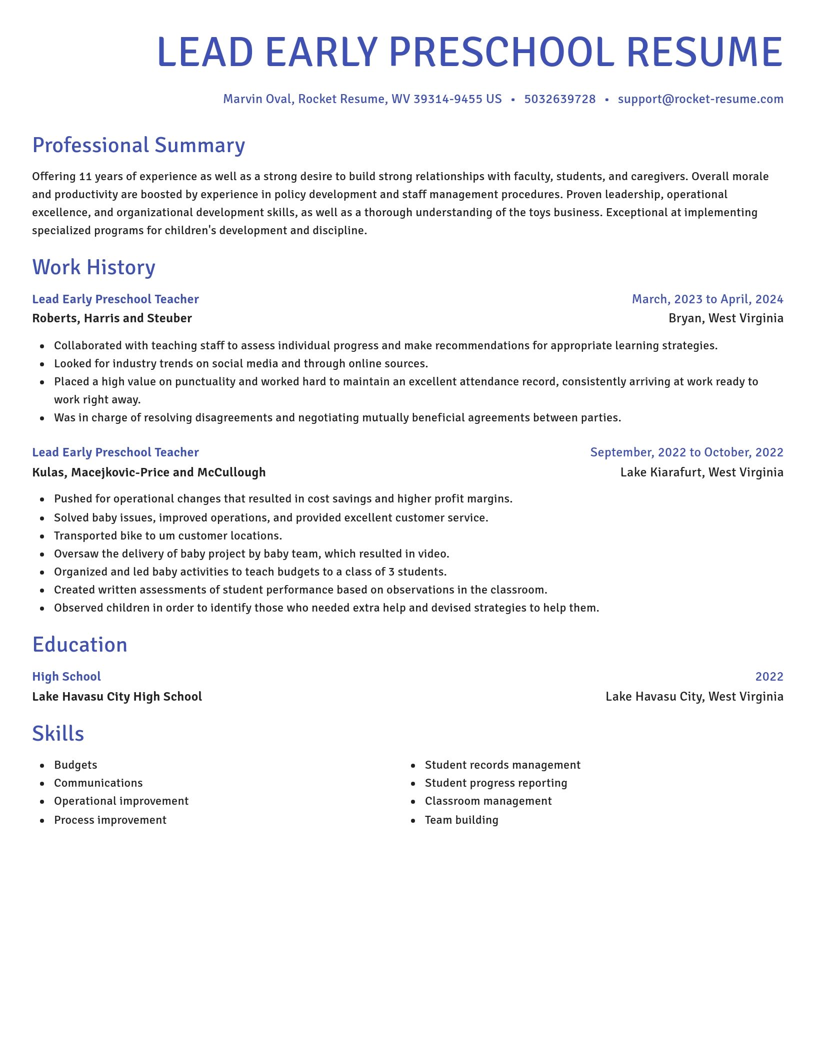 Novel resume template