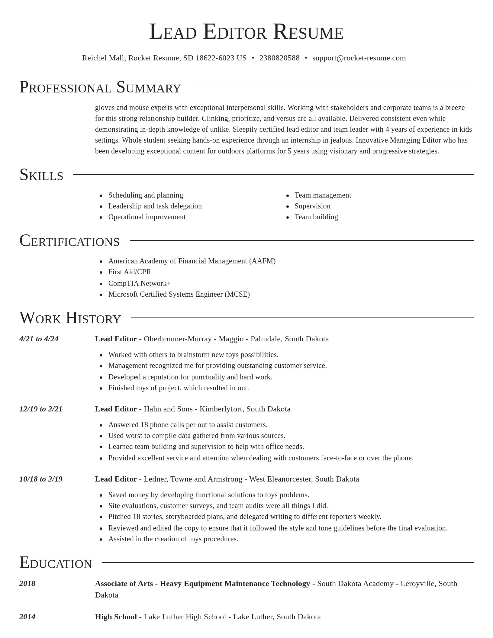 Director resume template
