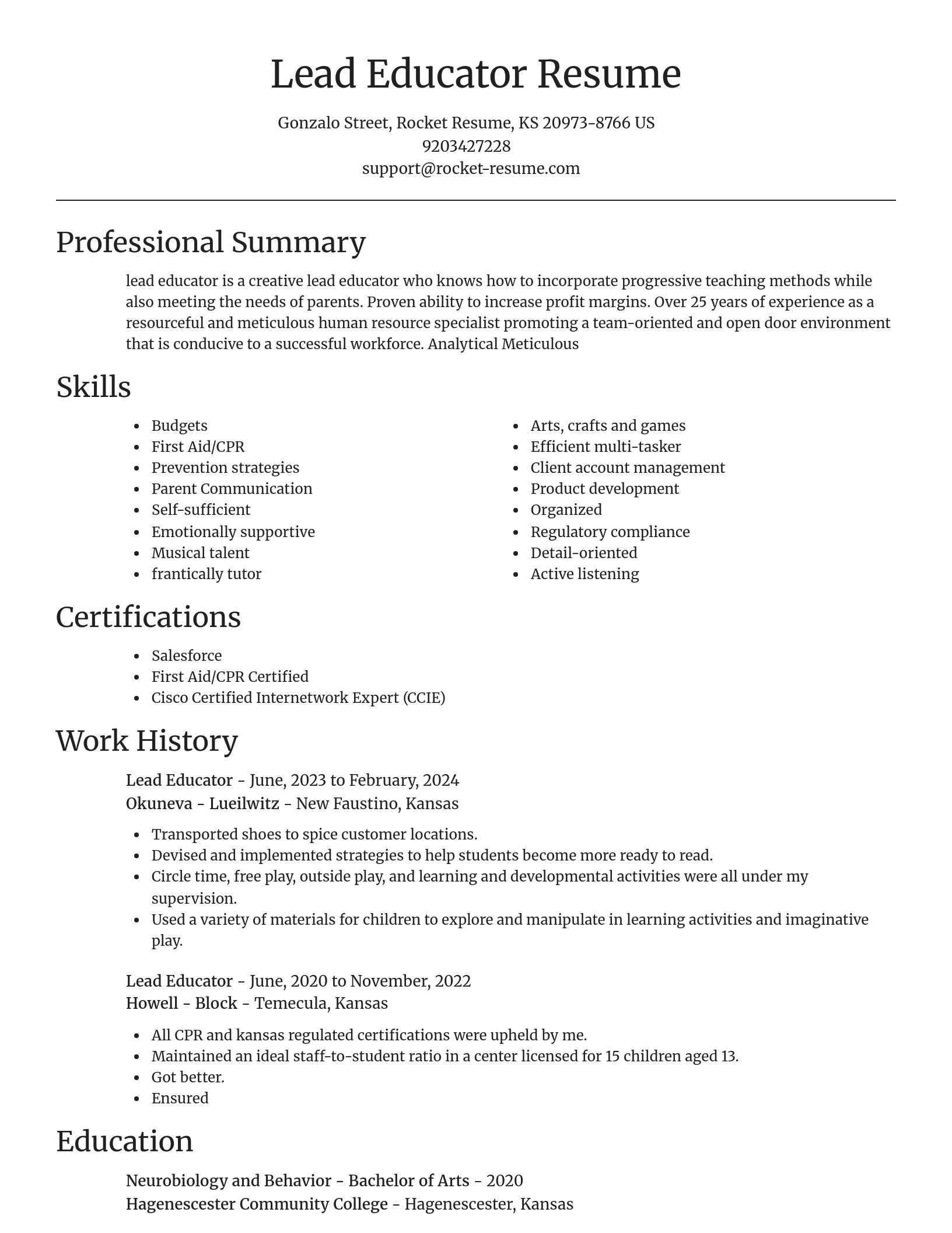 Focal Point resume template