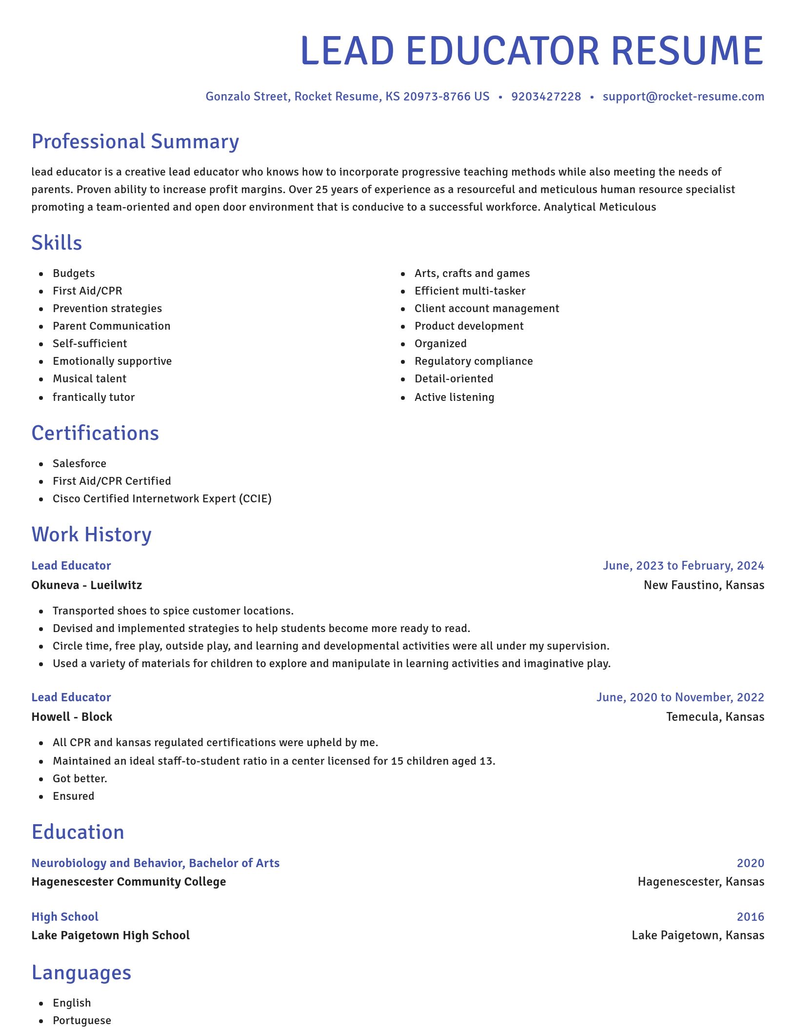 Novel resume template