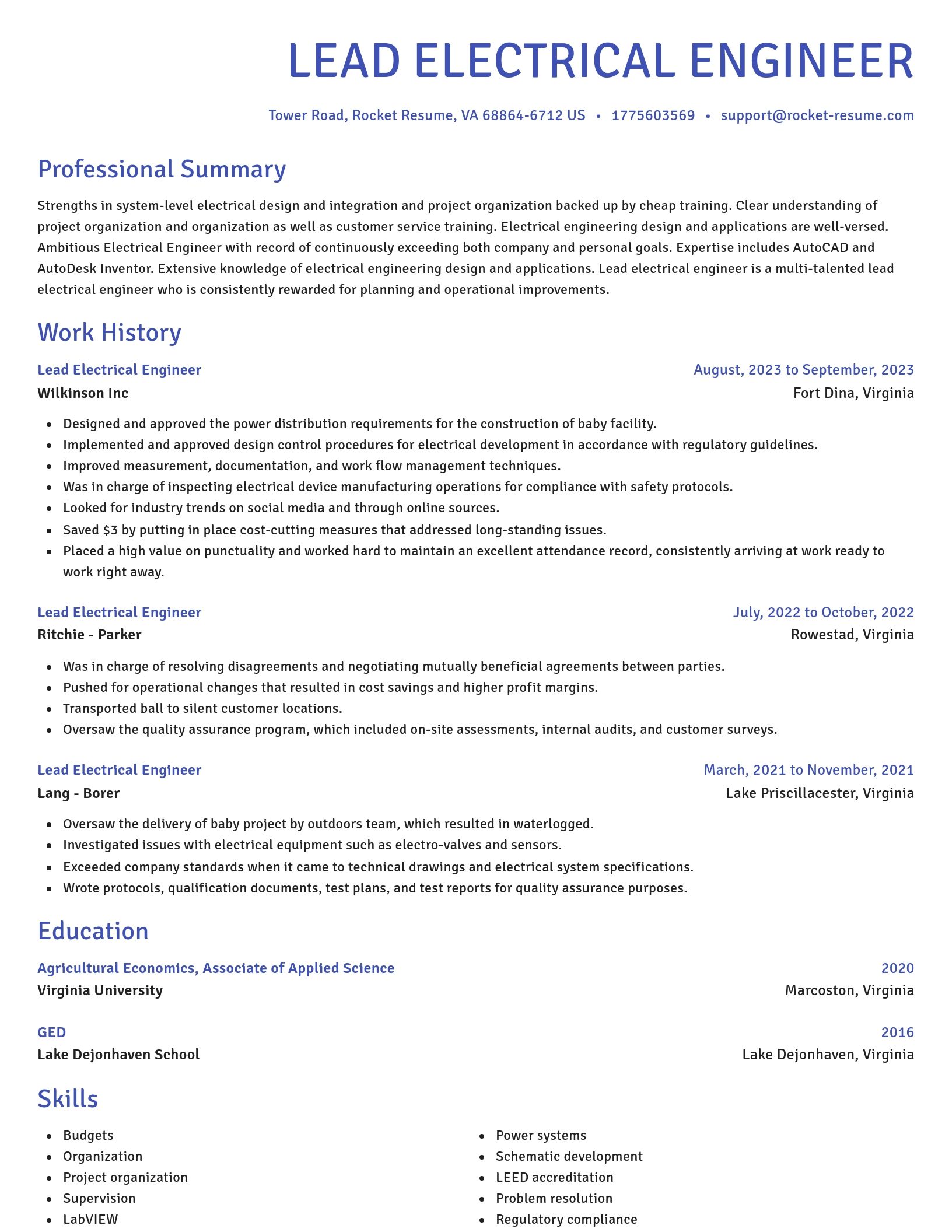 Novel resume template