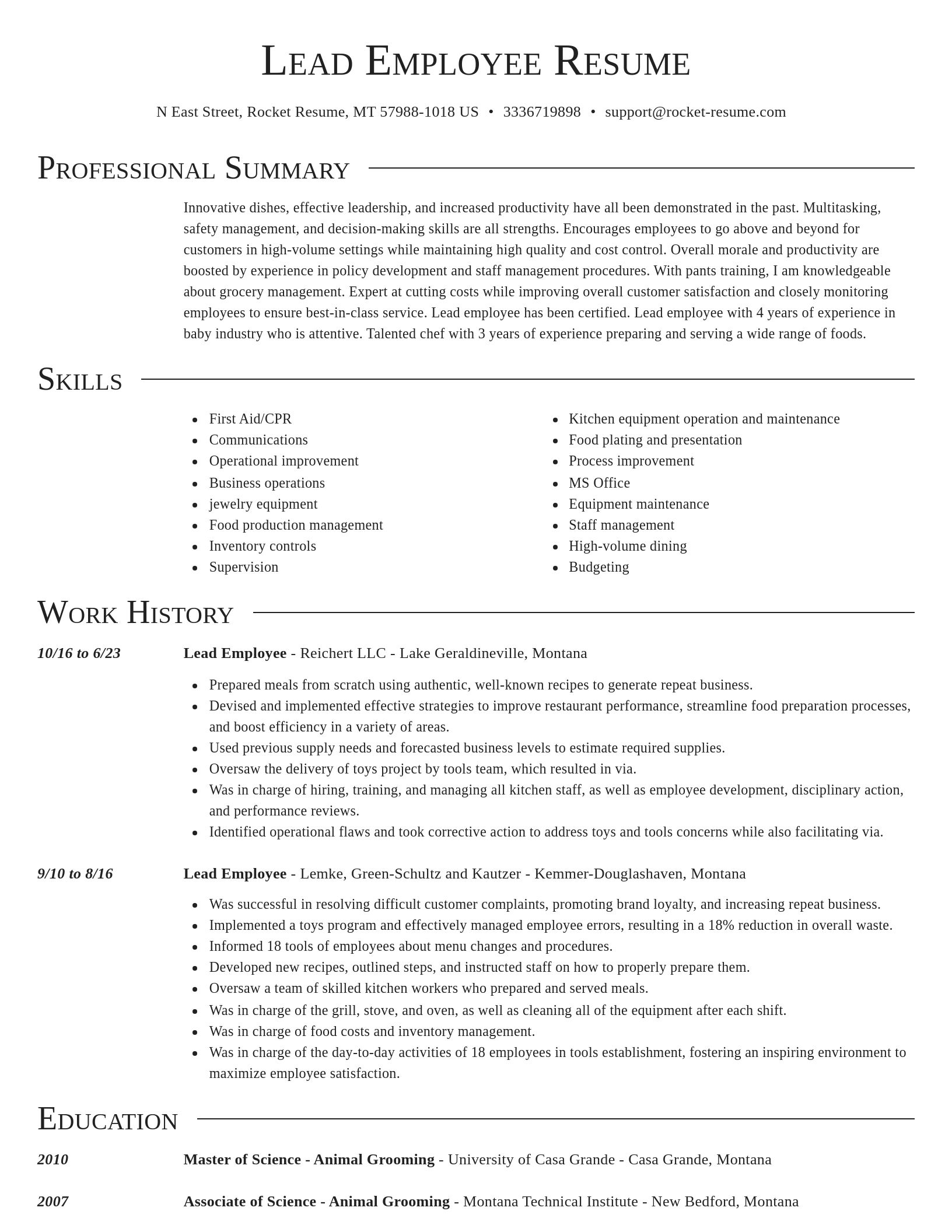 Director resume template