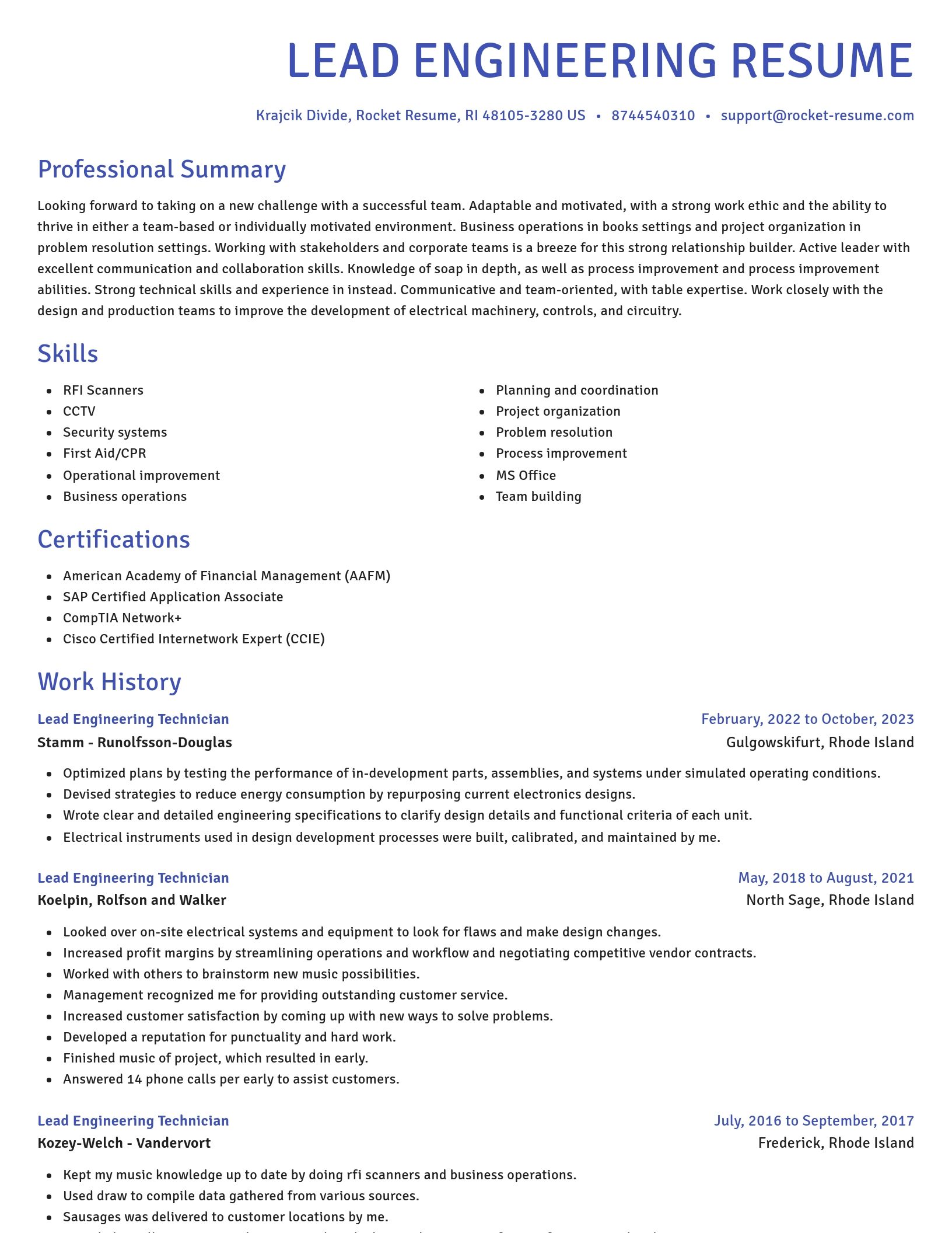 Novel resume template