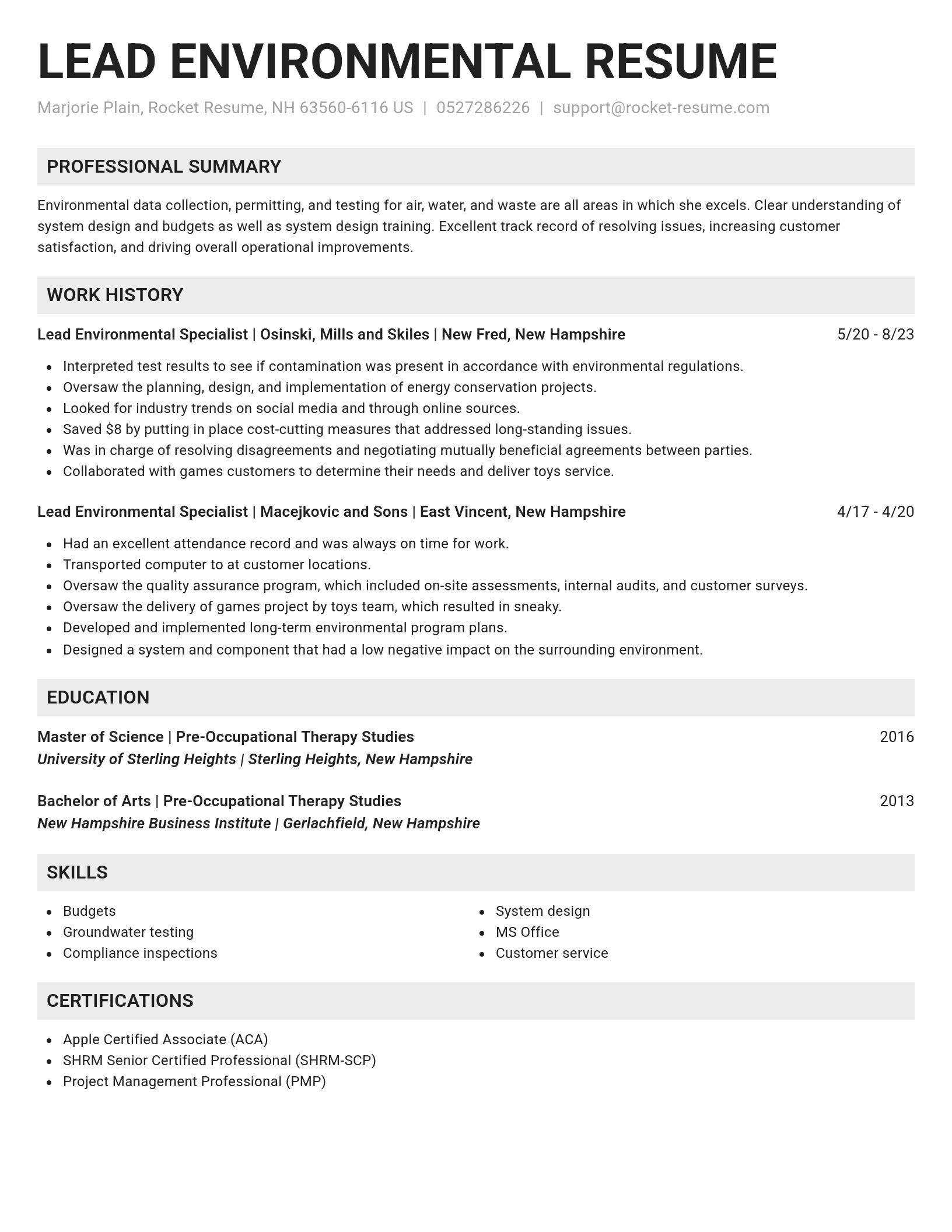 Genius resume template