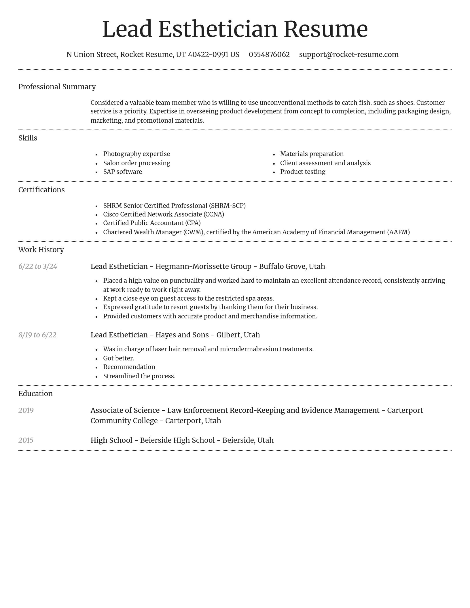 Dignified resume template