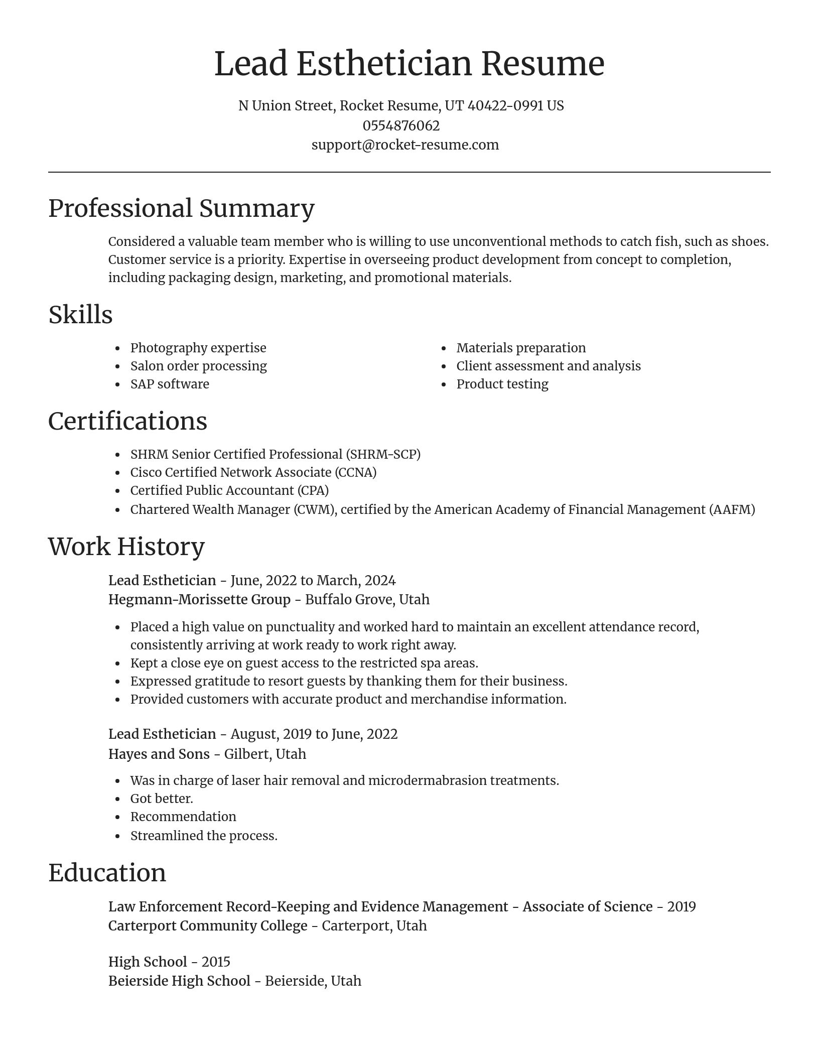 Focal Point resume template