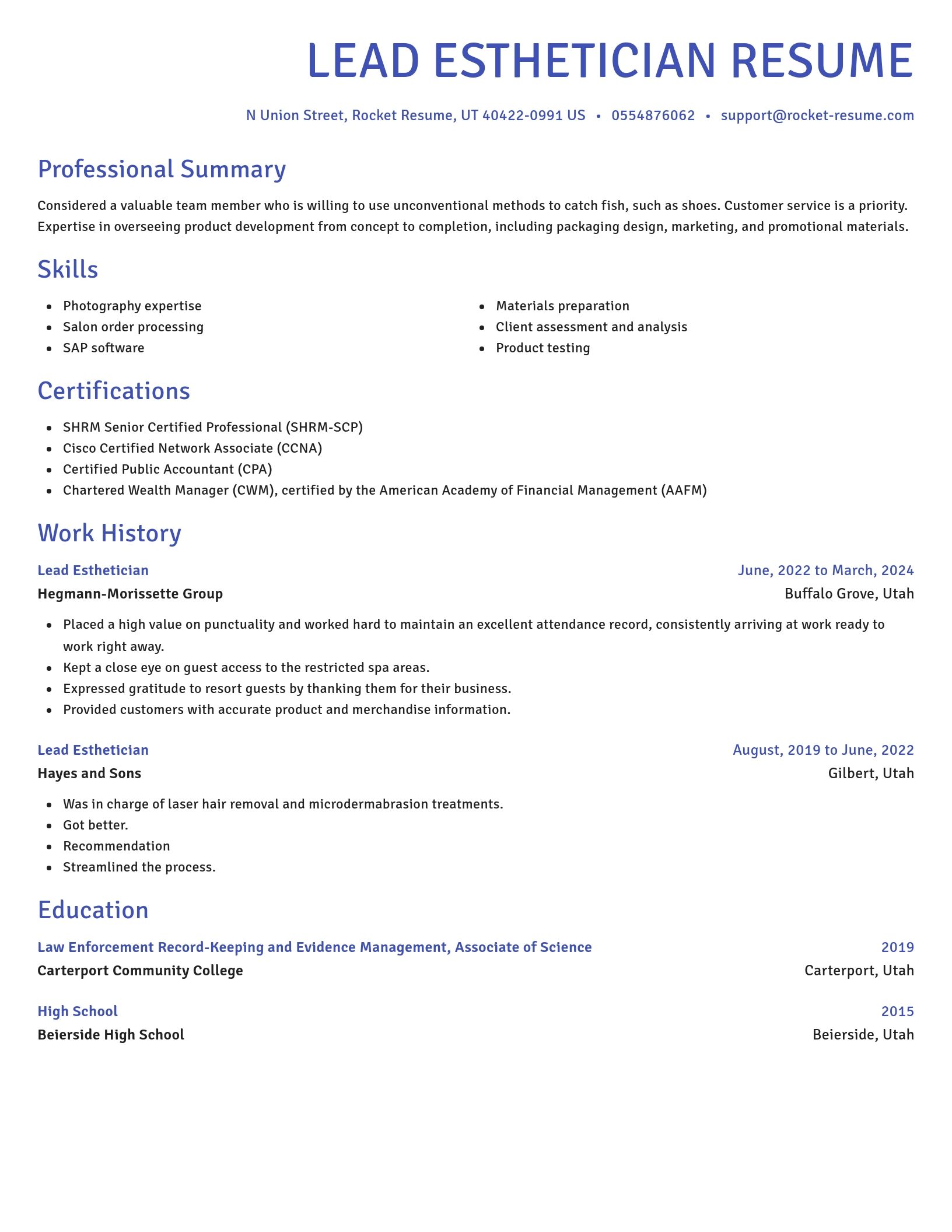Novel resume template
