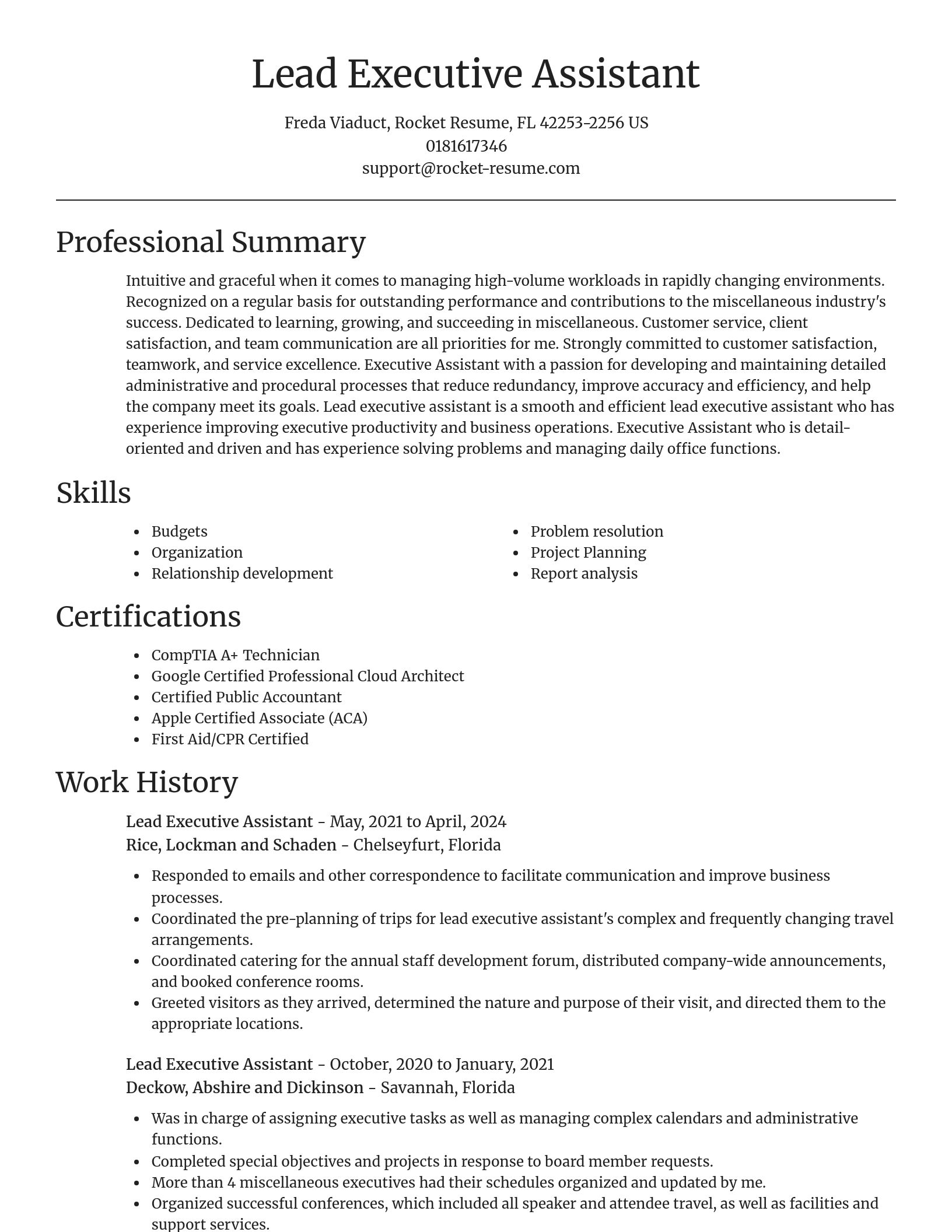 Focal Point resume template