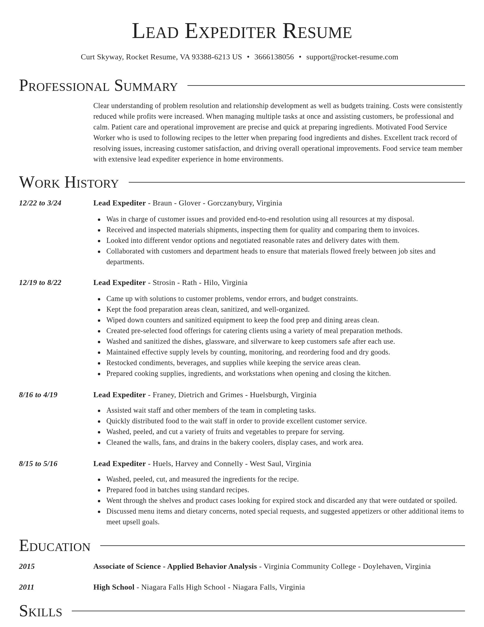 Director resume template