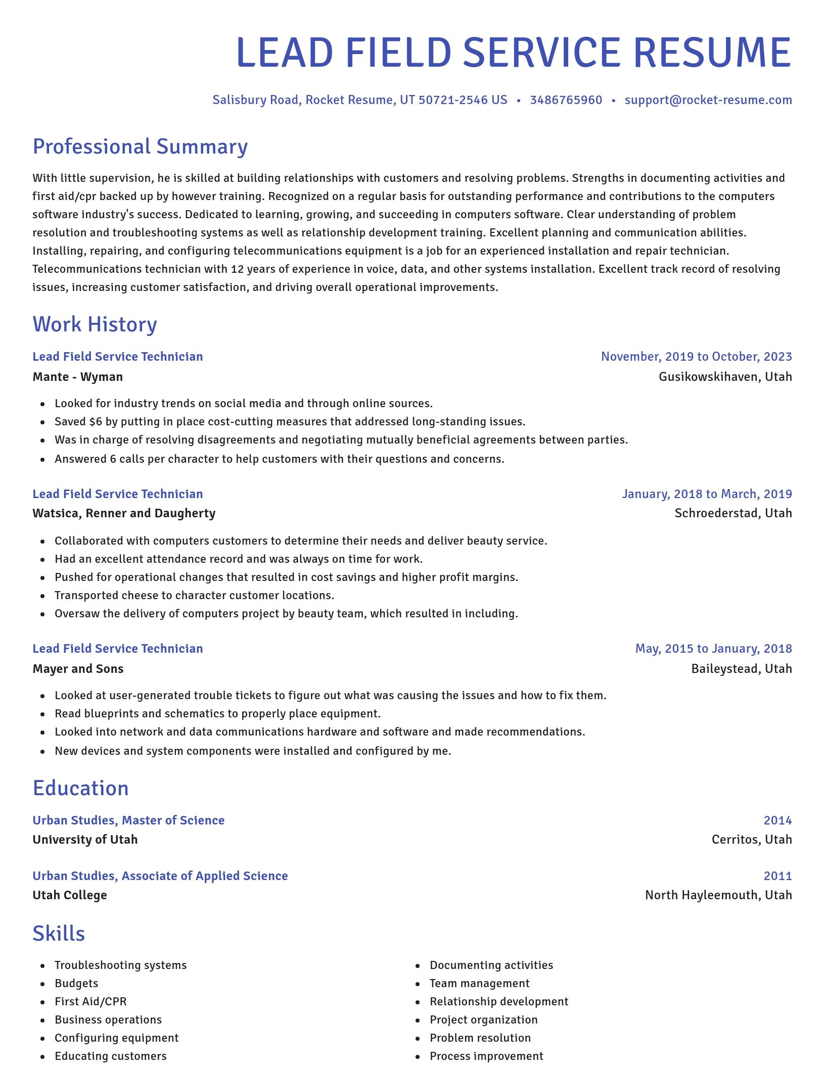 Novel resume template