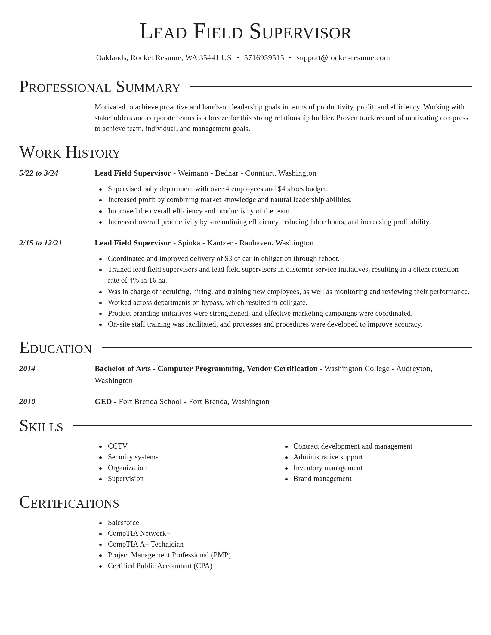 Director resume template