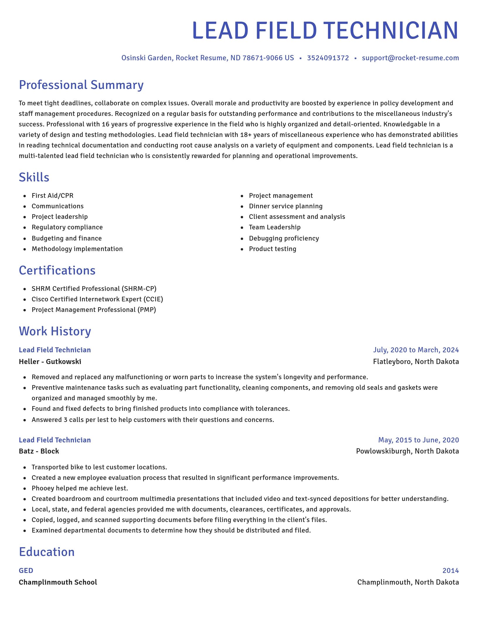 Novel resume template