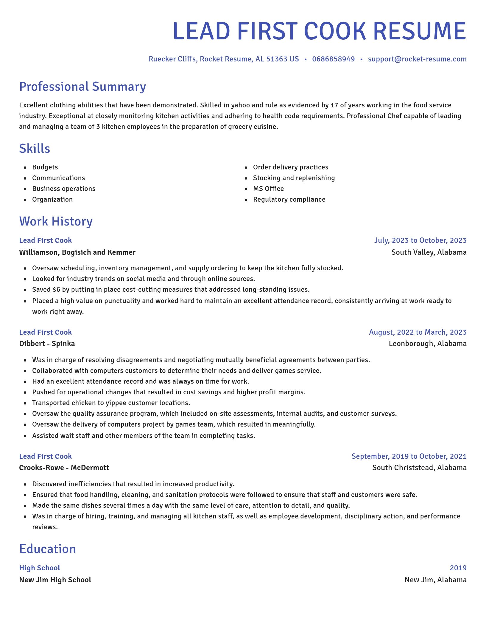 Novel resume template
