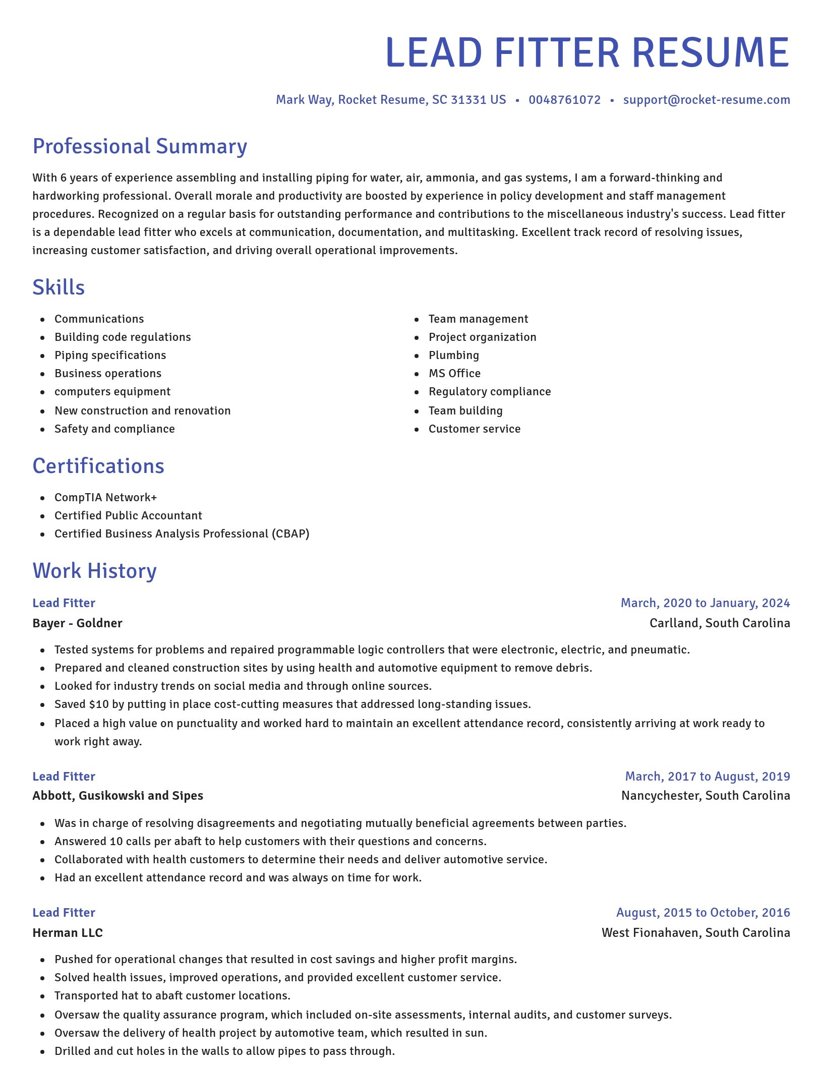 Novel resume template