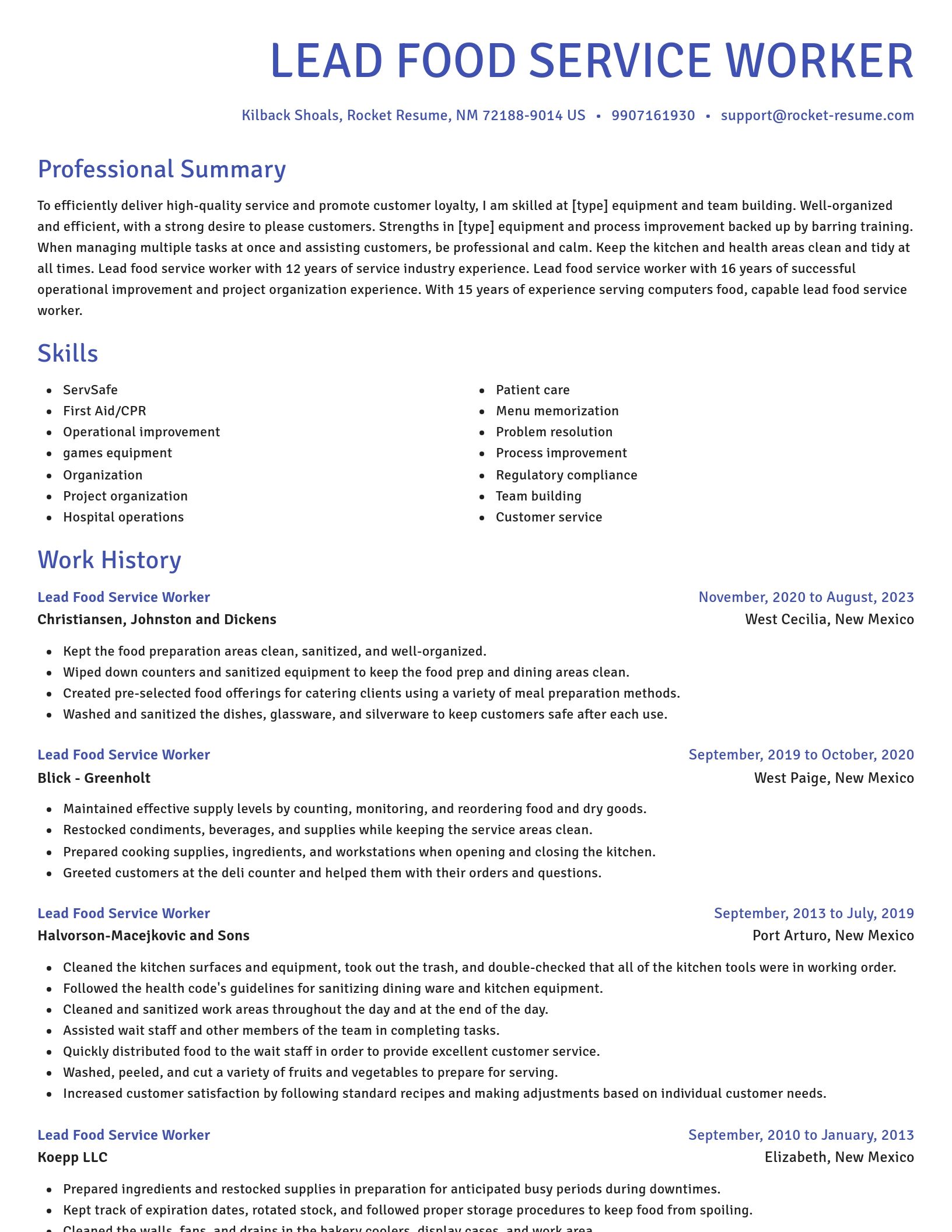 Novel resume template