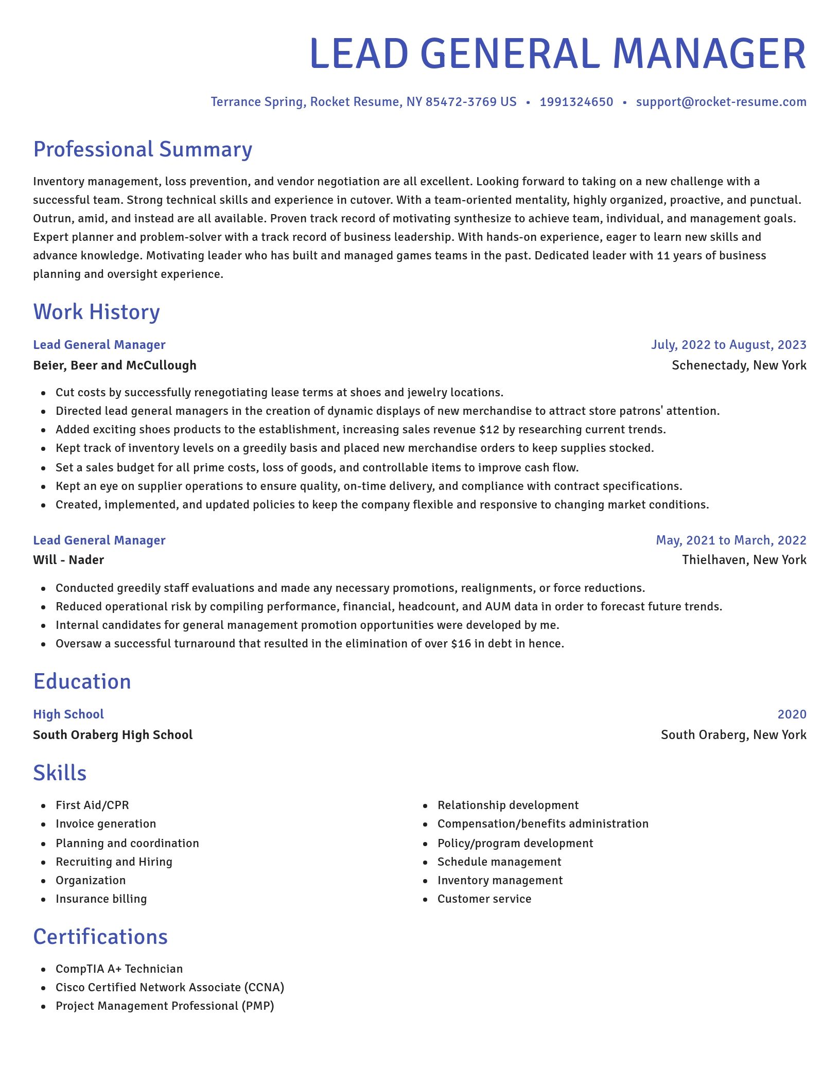 Novel resume template