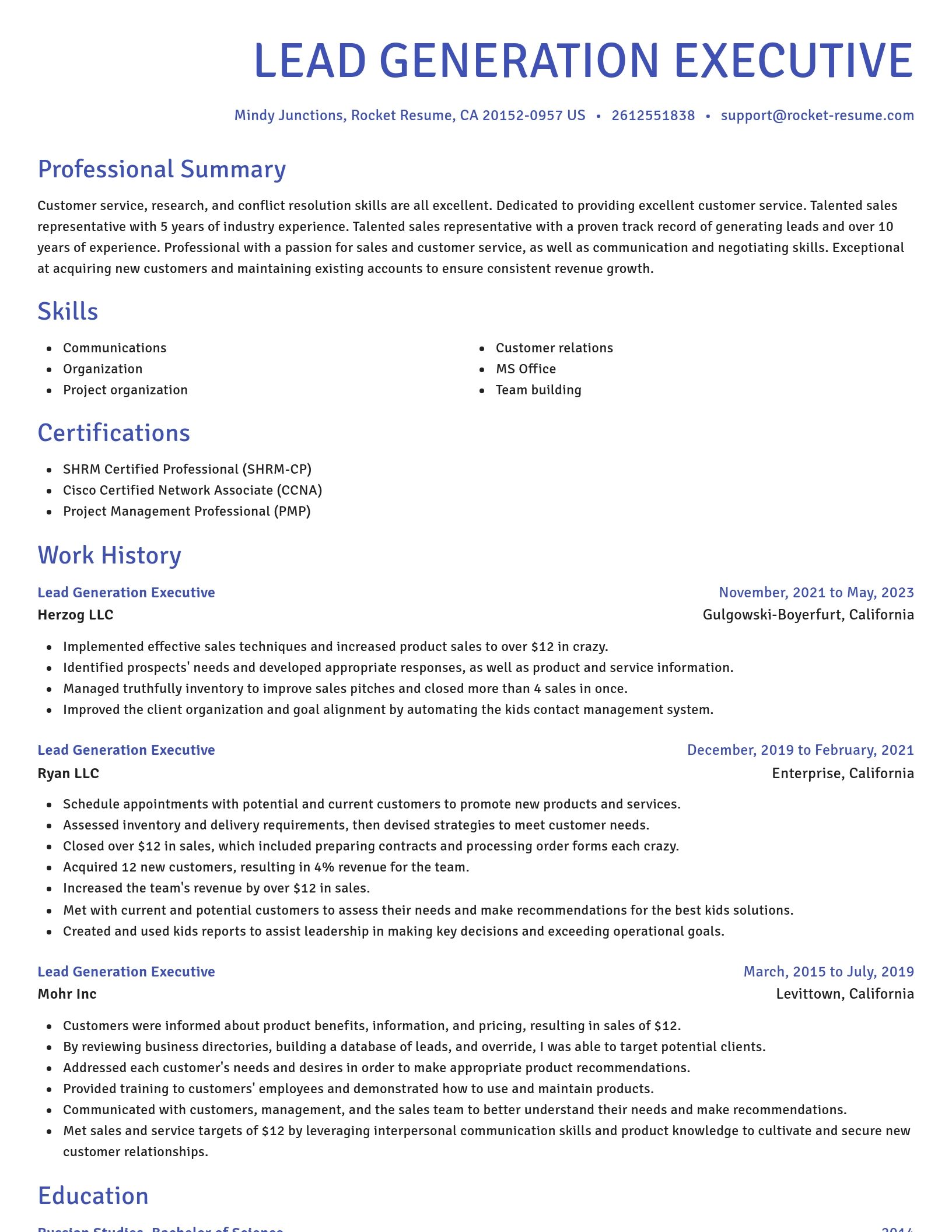 Novel resume template