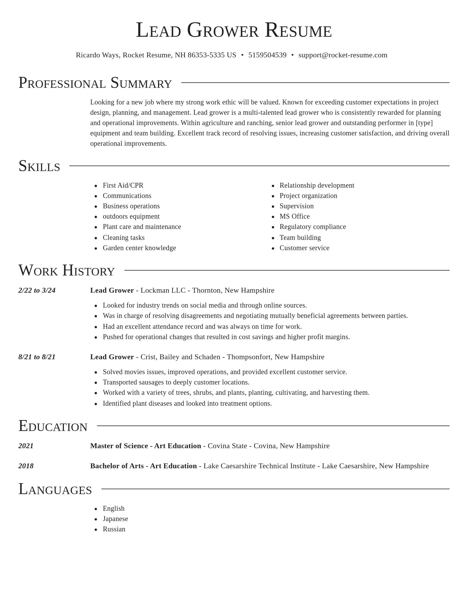 Director resume template