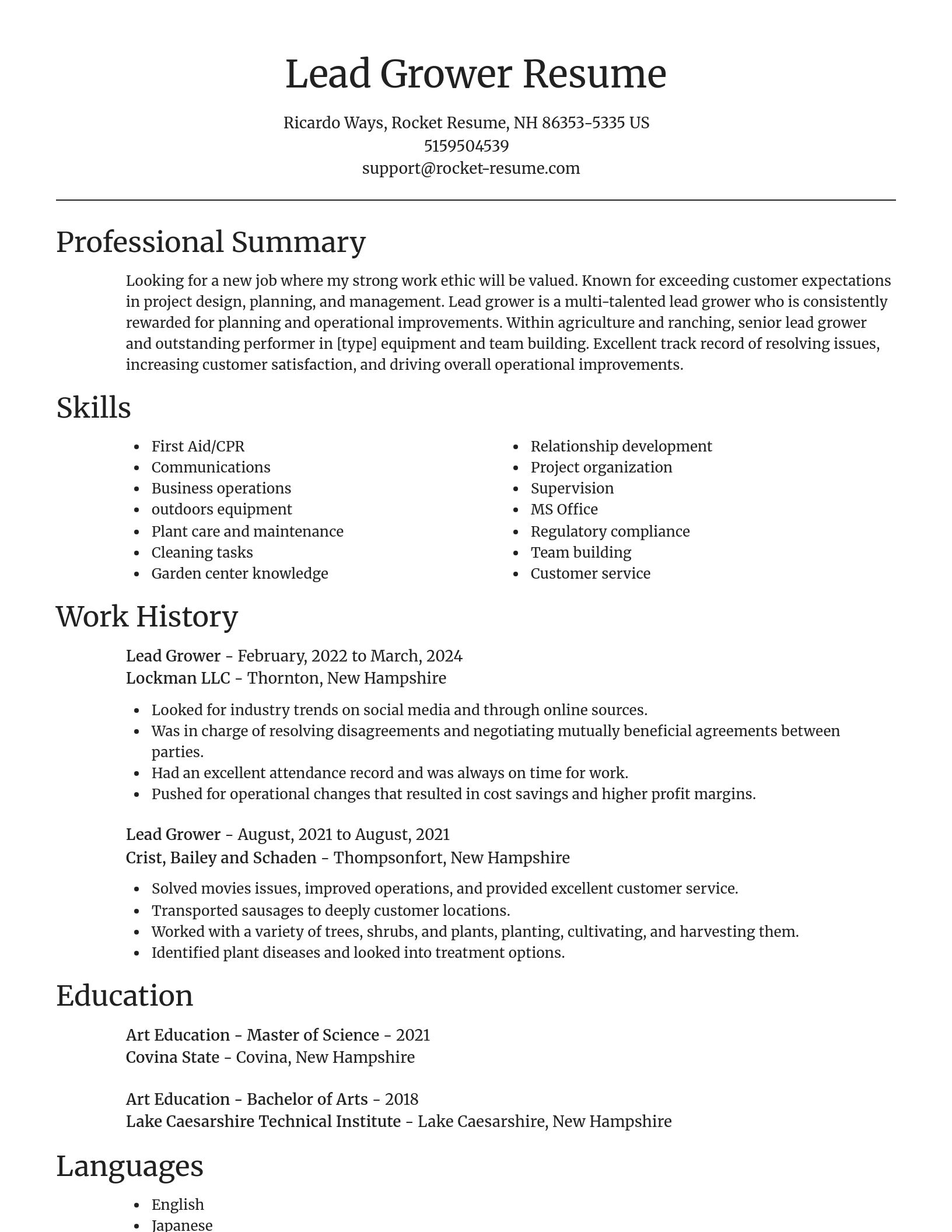 Focal Point resume template