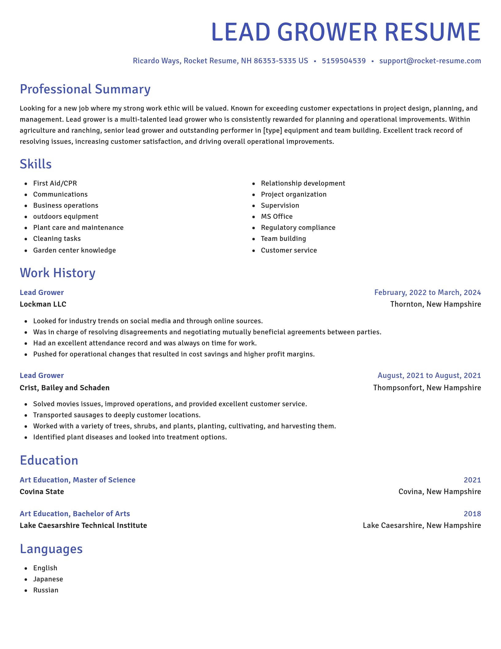 Novel resume template