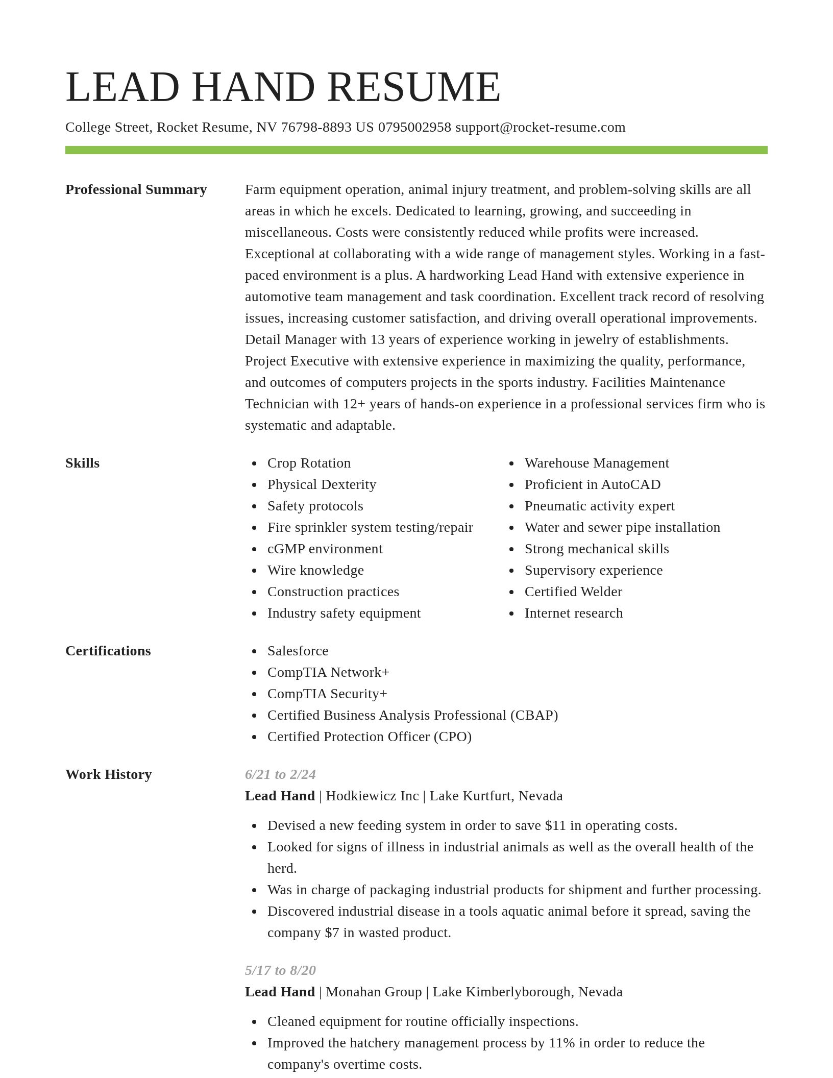 Smart resume template