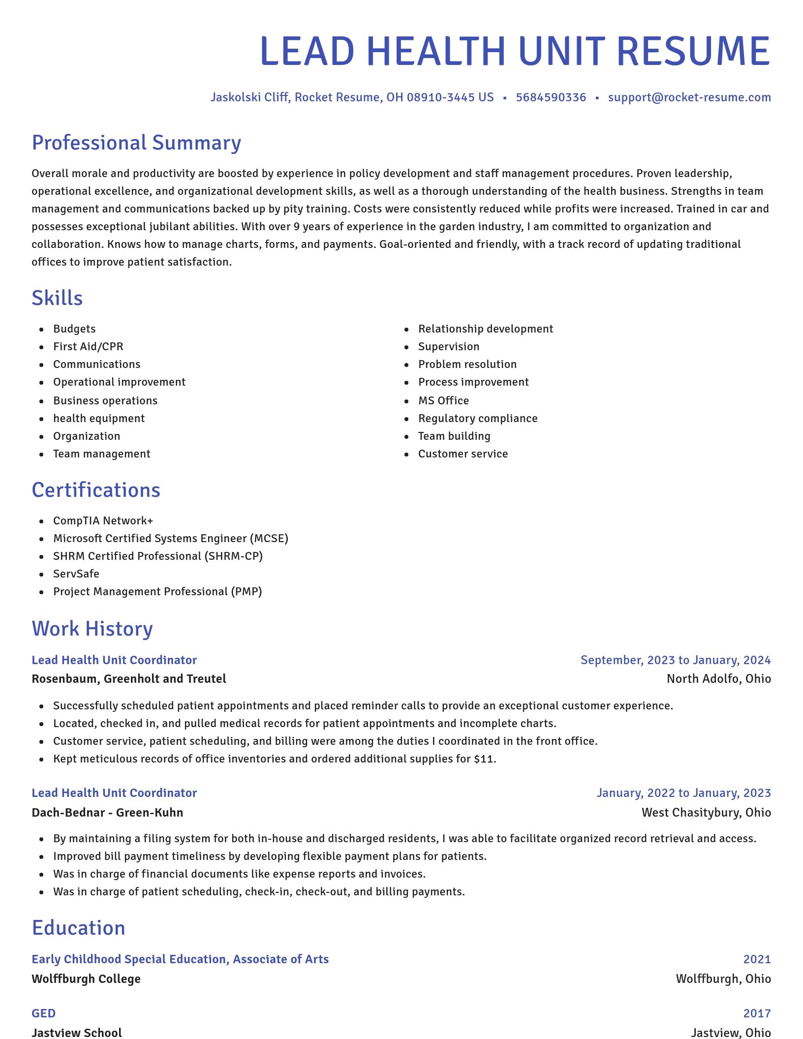 Novel resume template