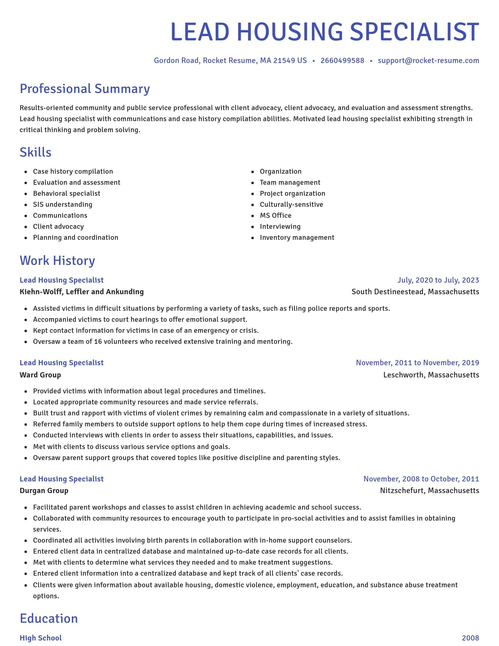 Novel resume template