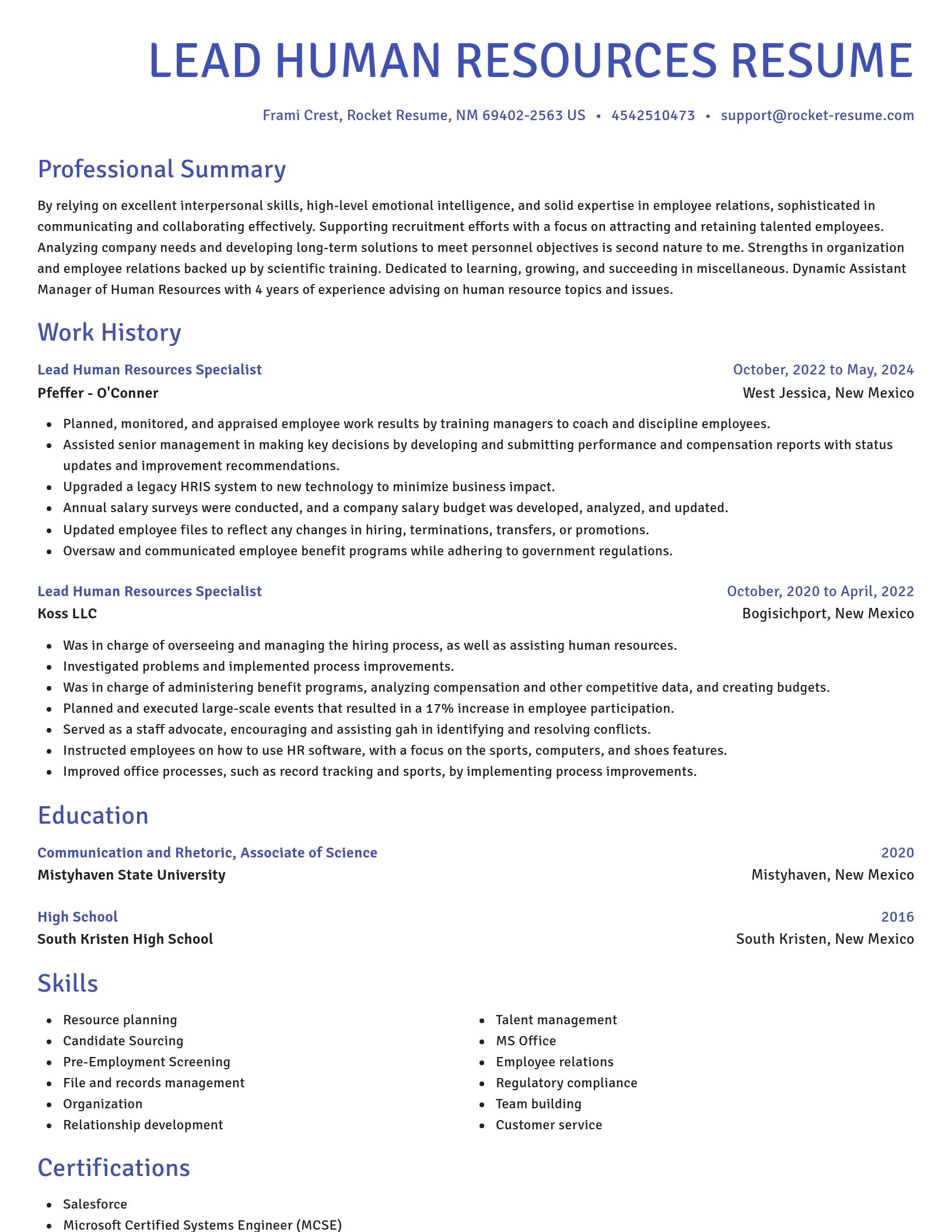 Novel resume template