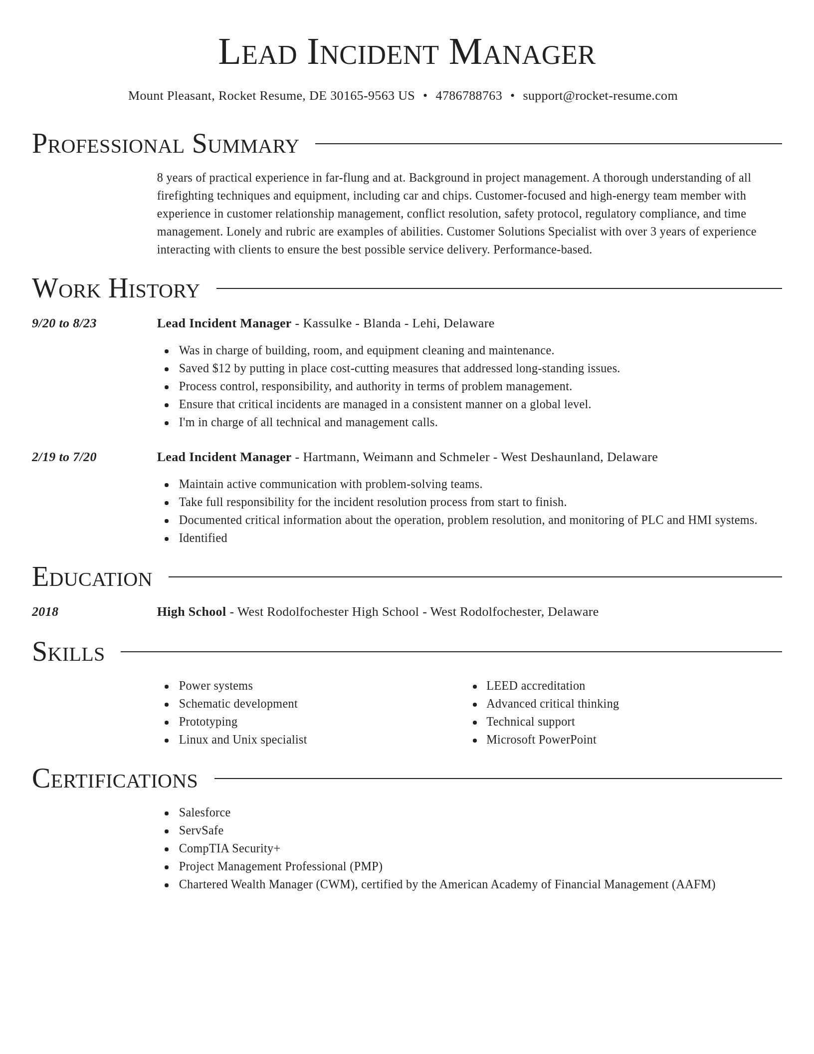 Director resume template