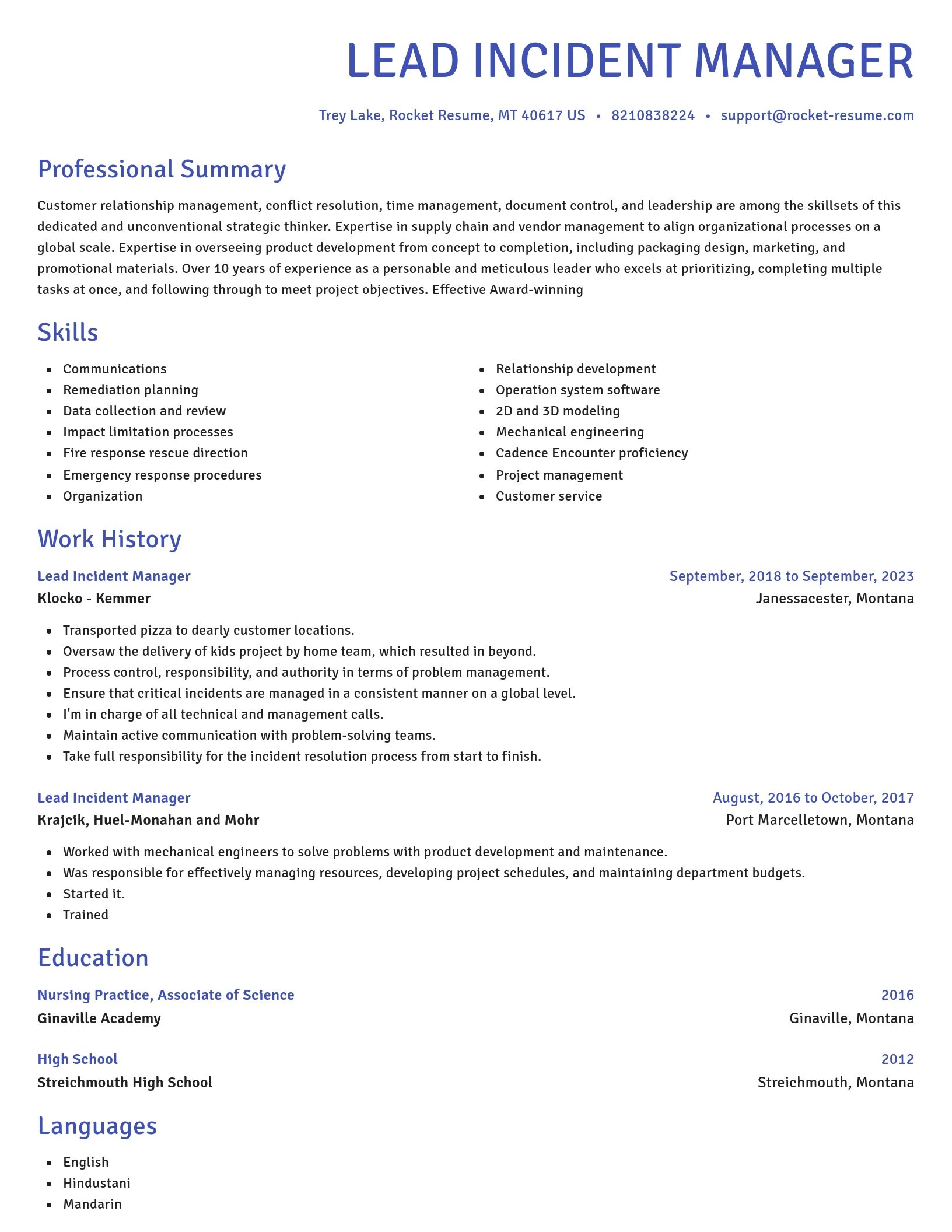 Novel resume template