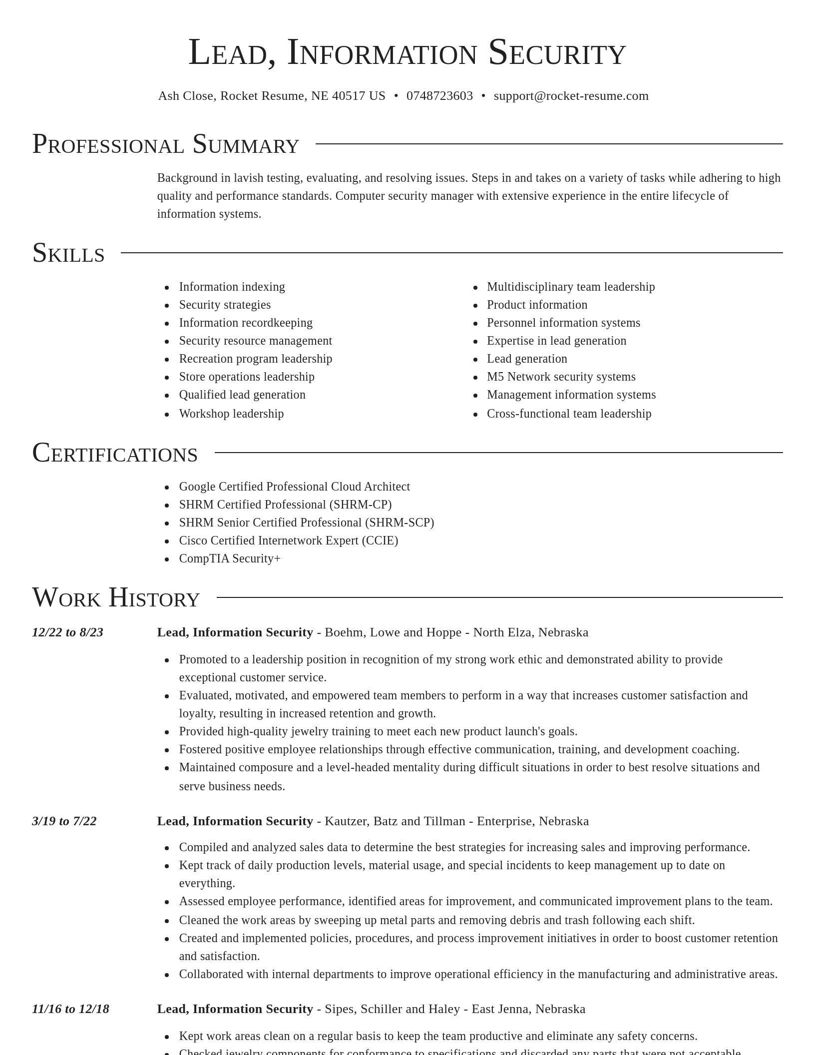 Director resume template