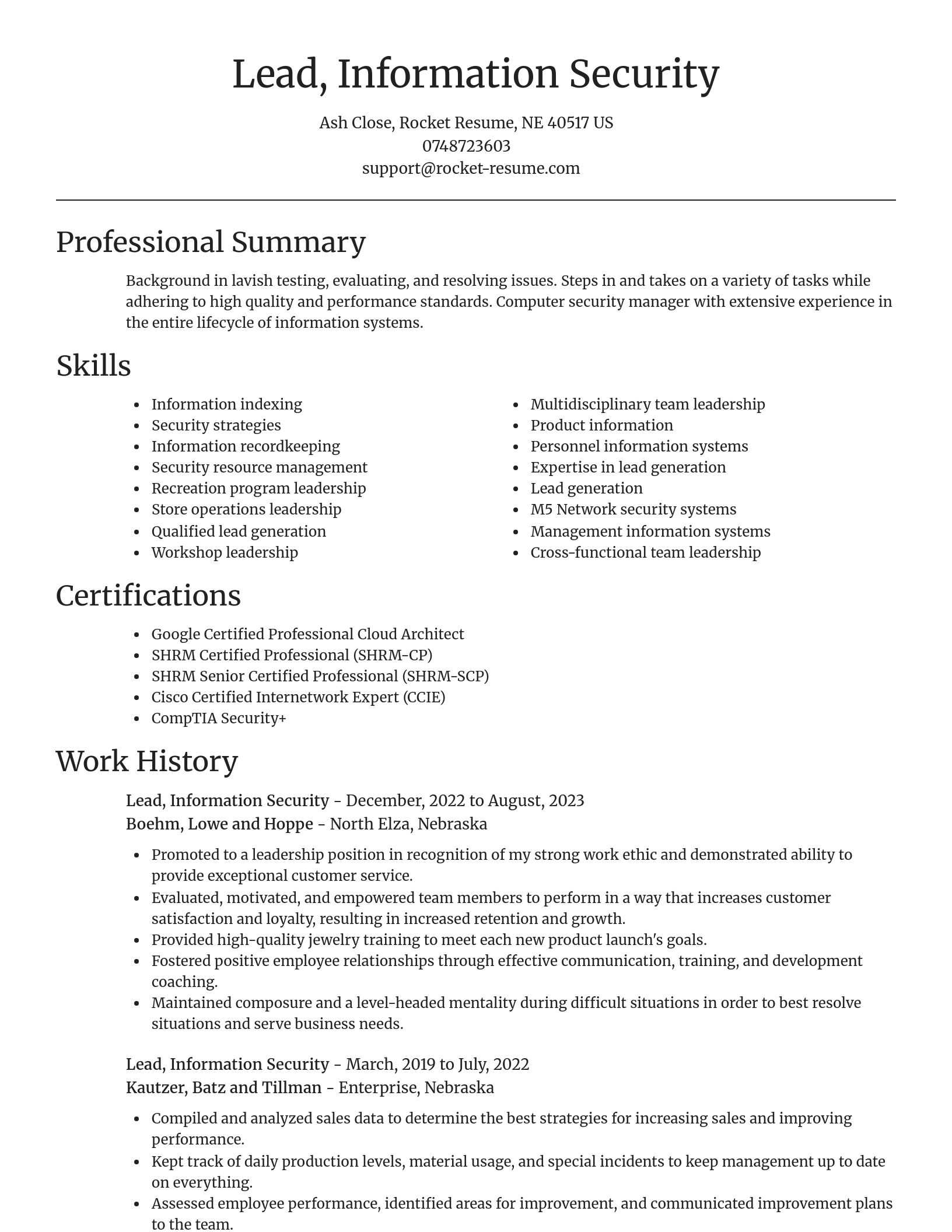 Focal Point resume template