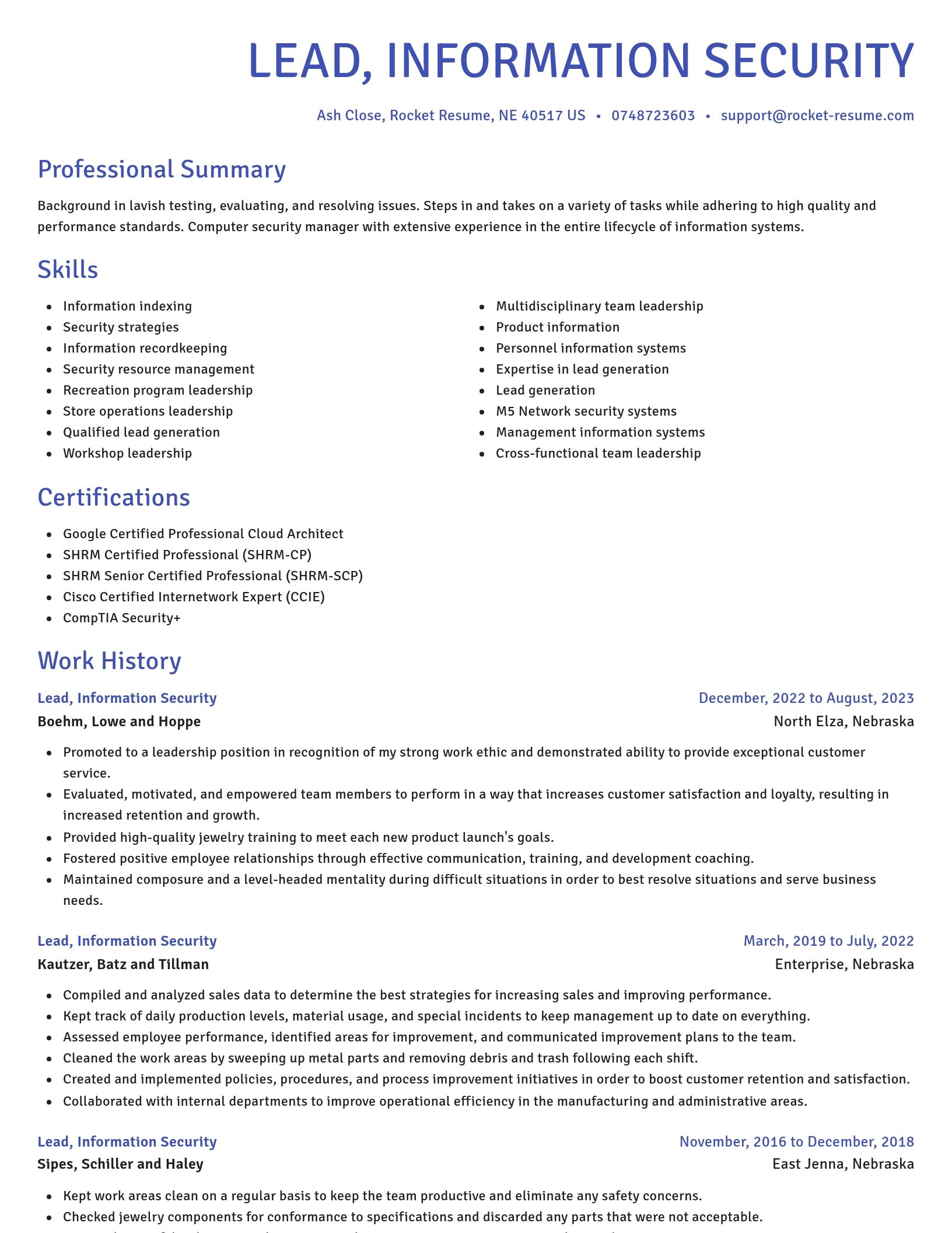 Novel resume template