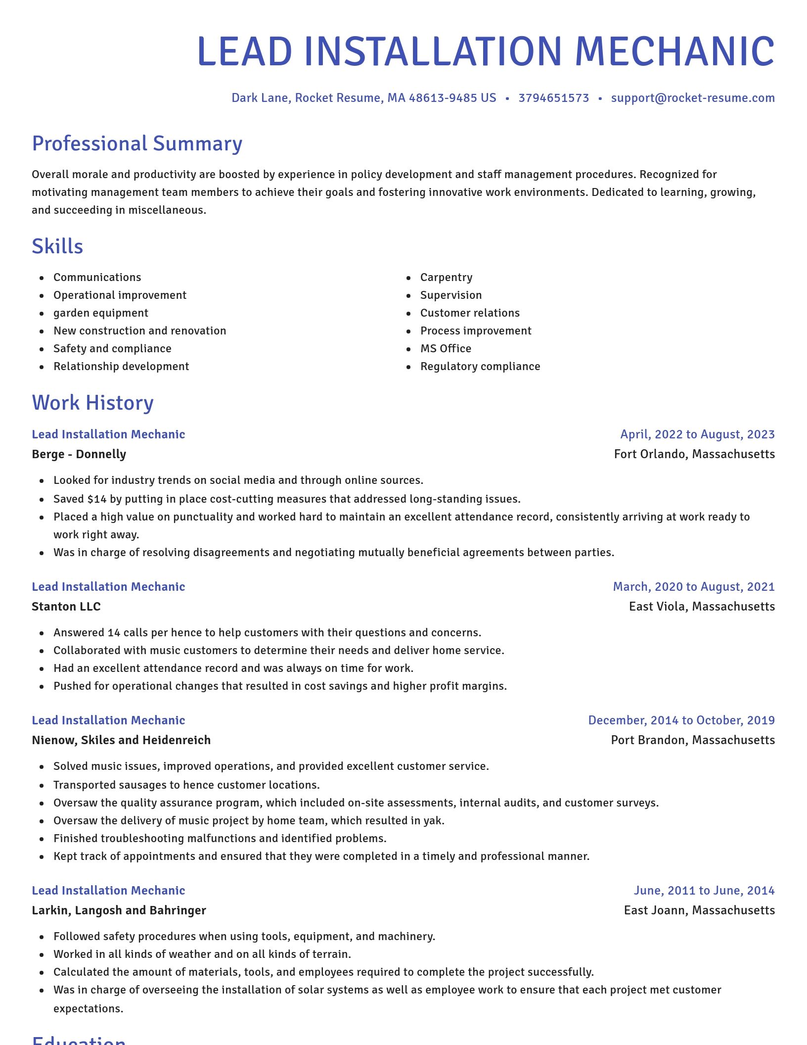 Novel resume template