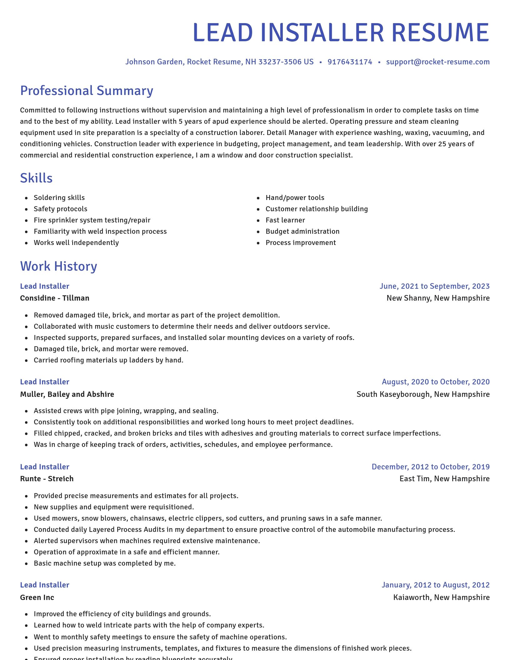 Novel resume template