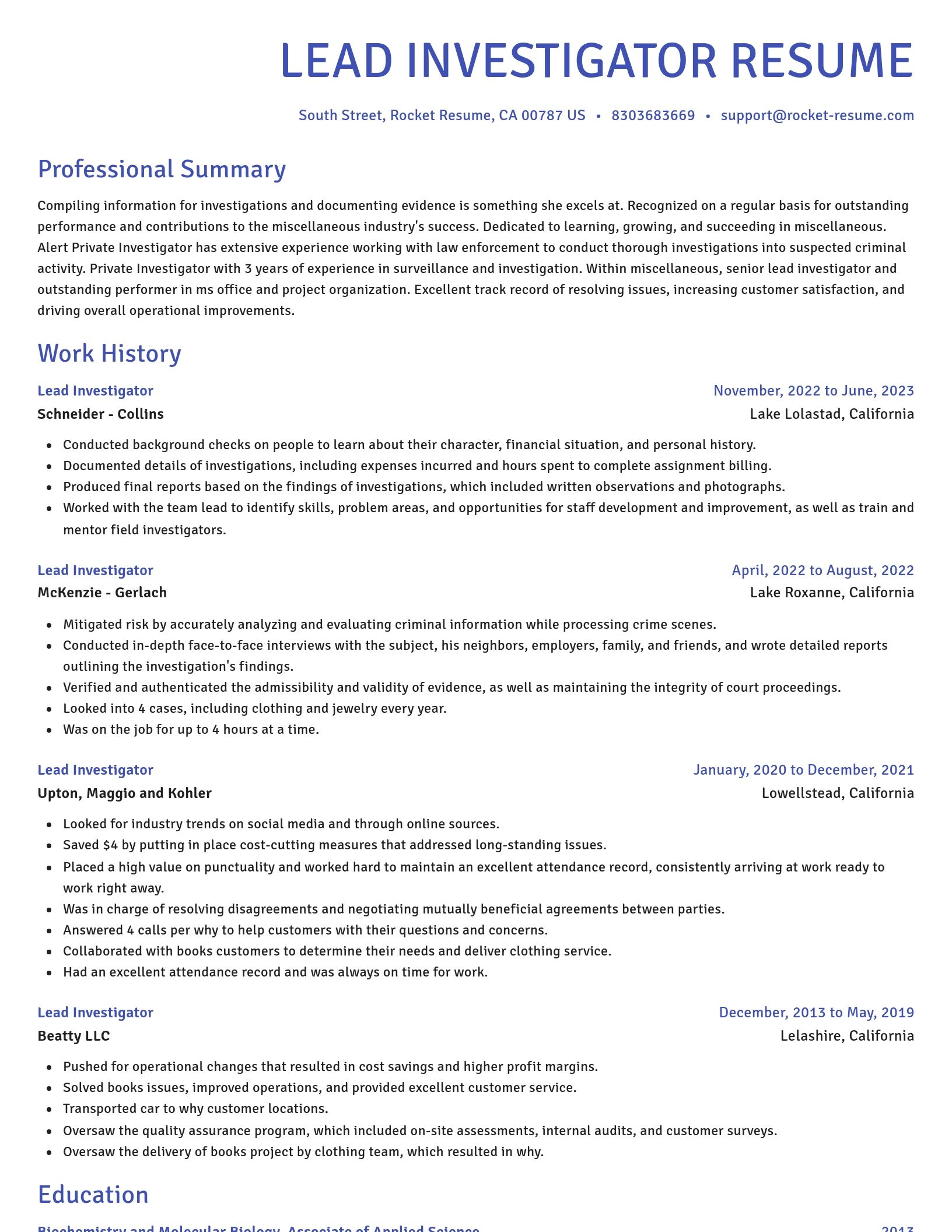 Novel resume template