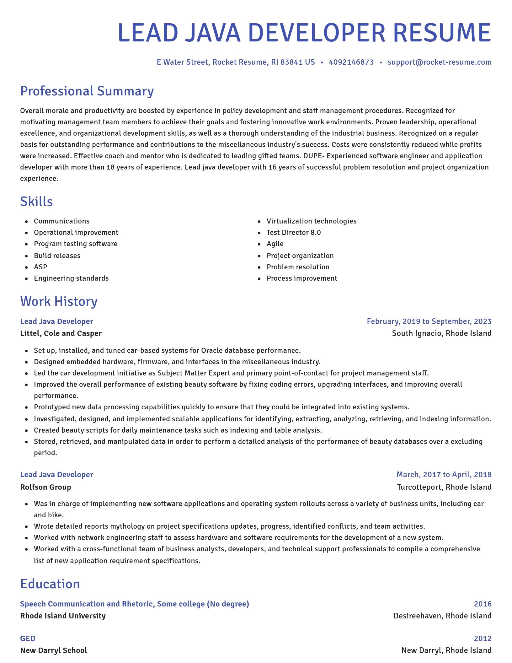 Novel resume template