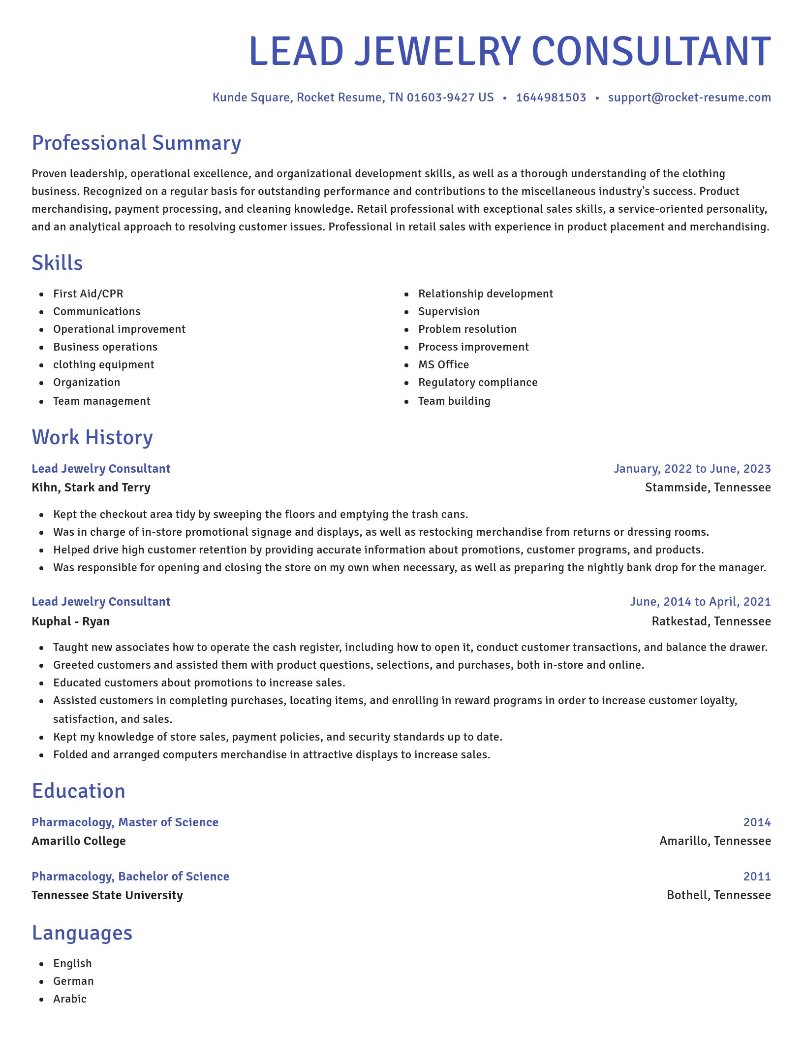 Novel resume template