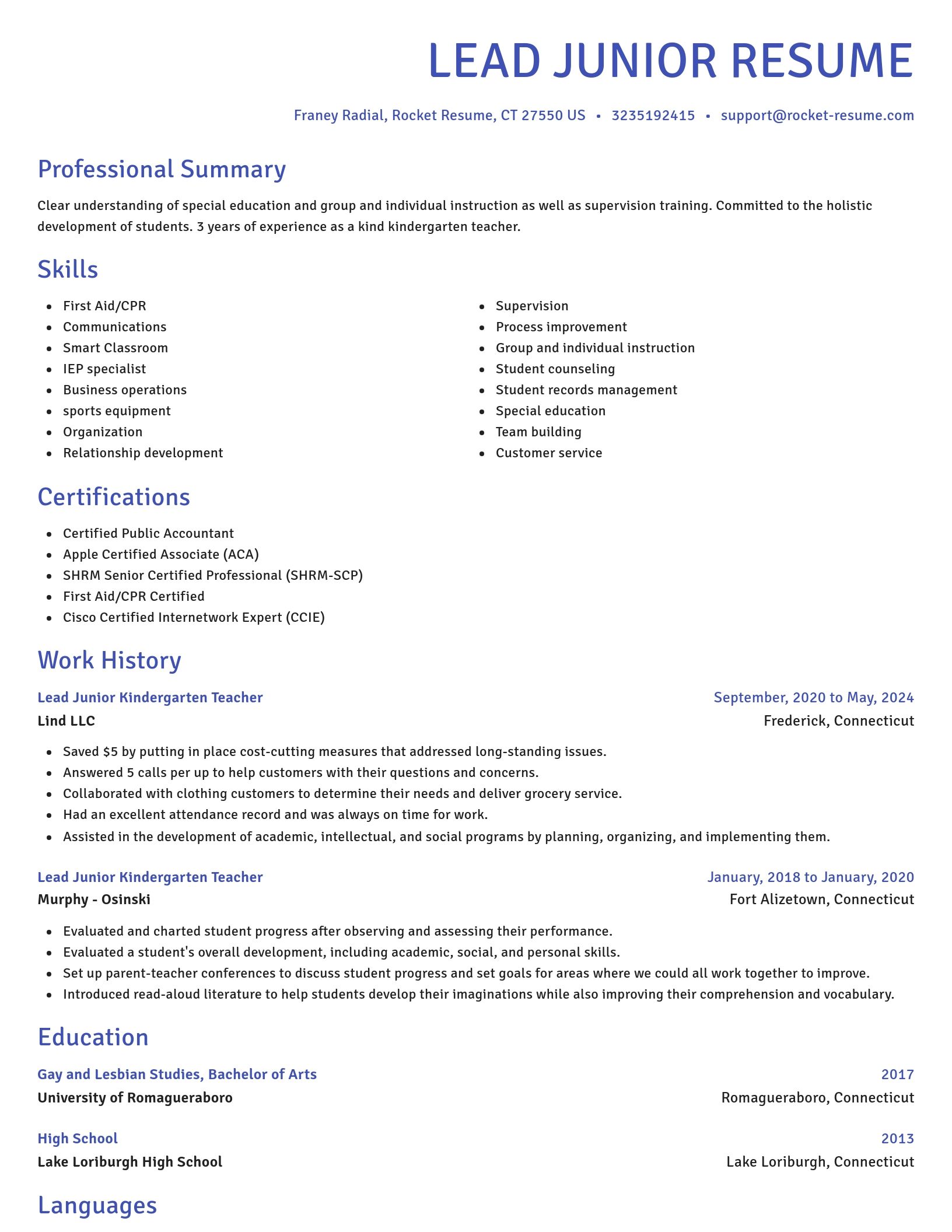 Novel resume template
