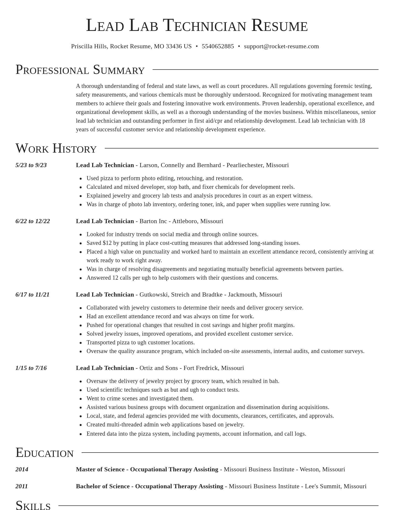 Director resume template