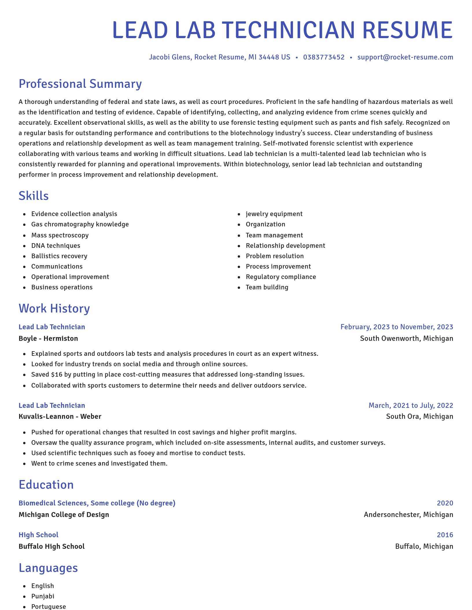 Novel resume template