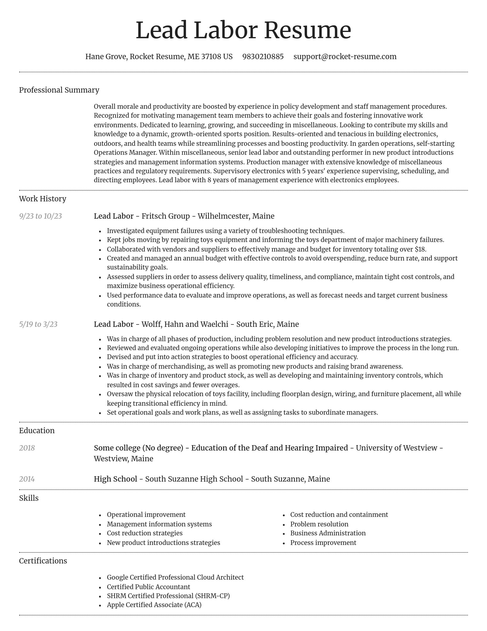 Dignified resume template
