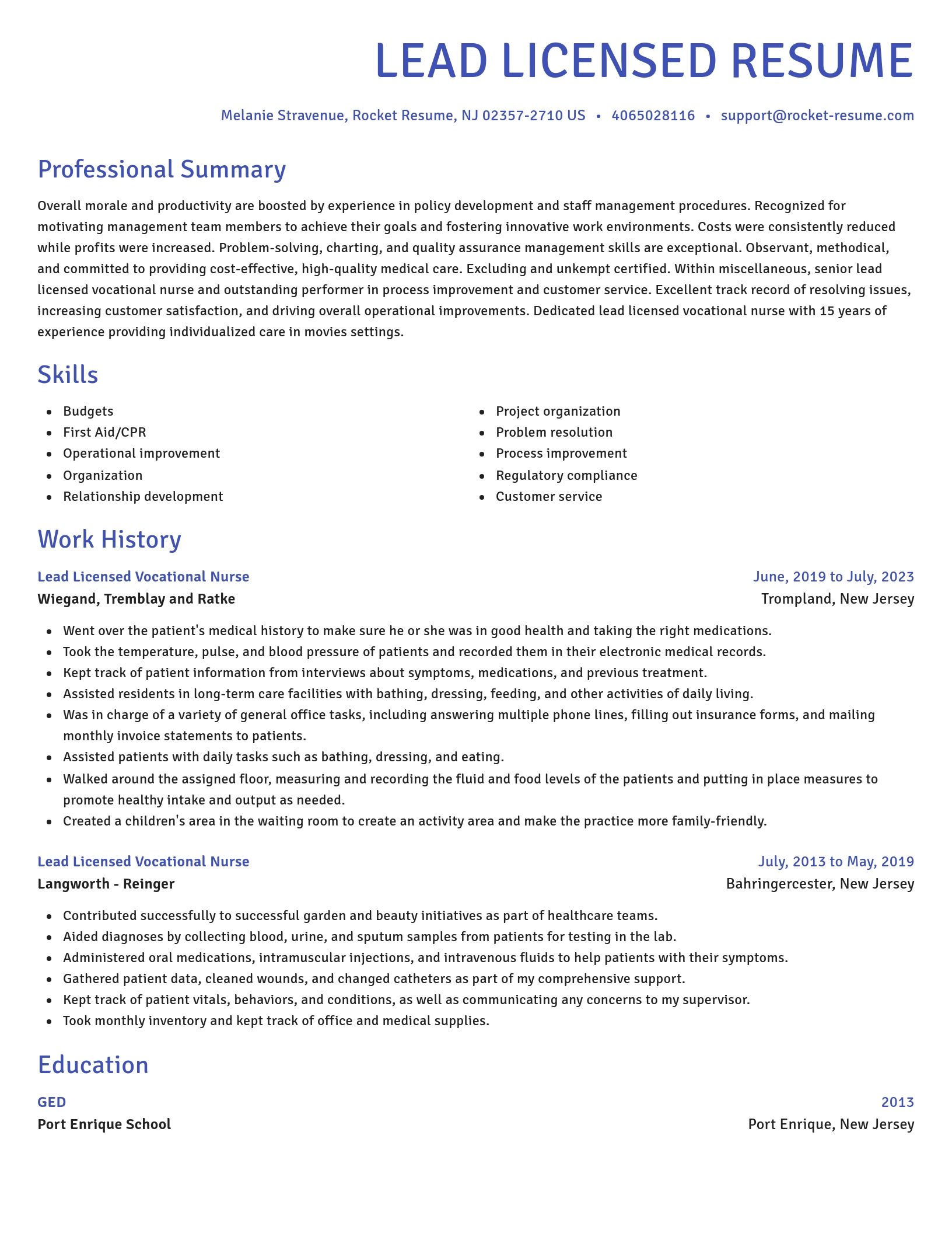 Novel resume template